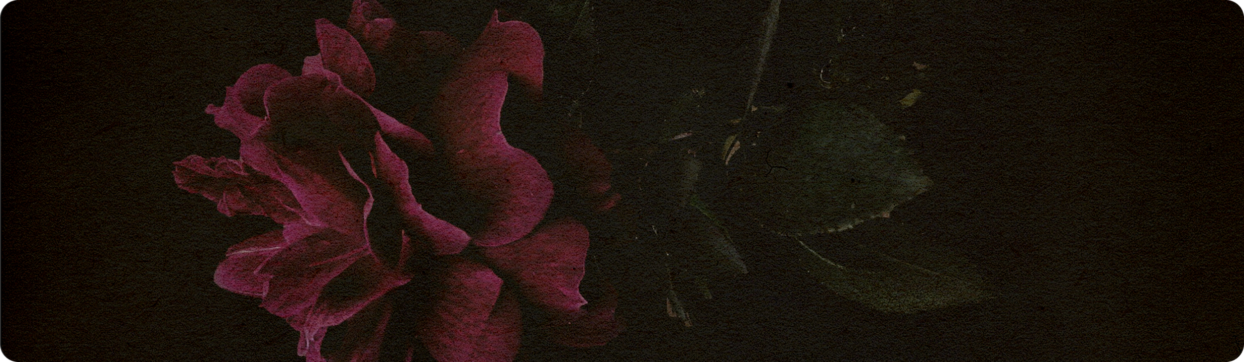 Moody floral backdrop