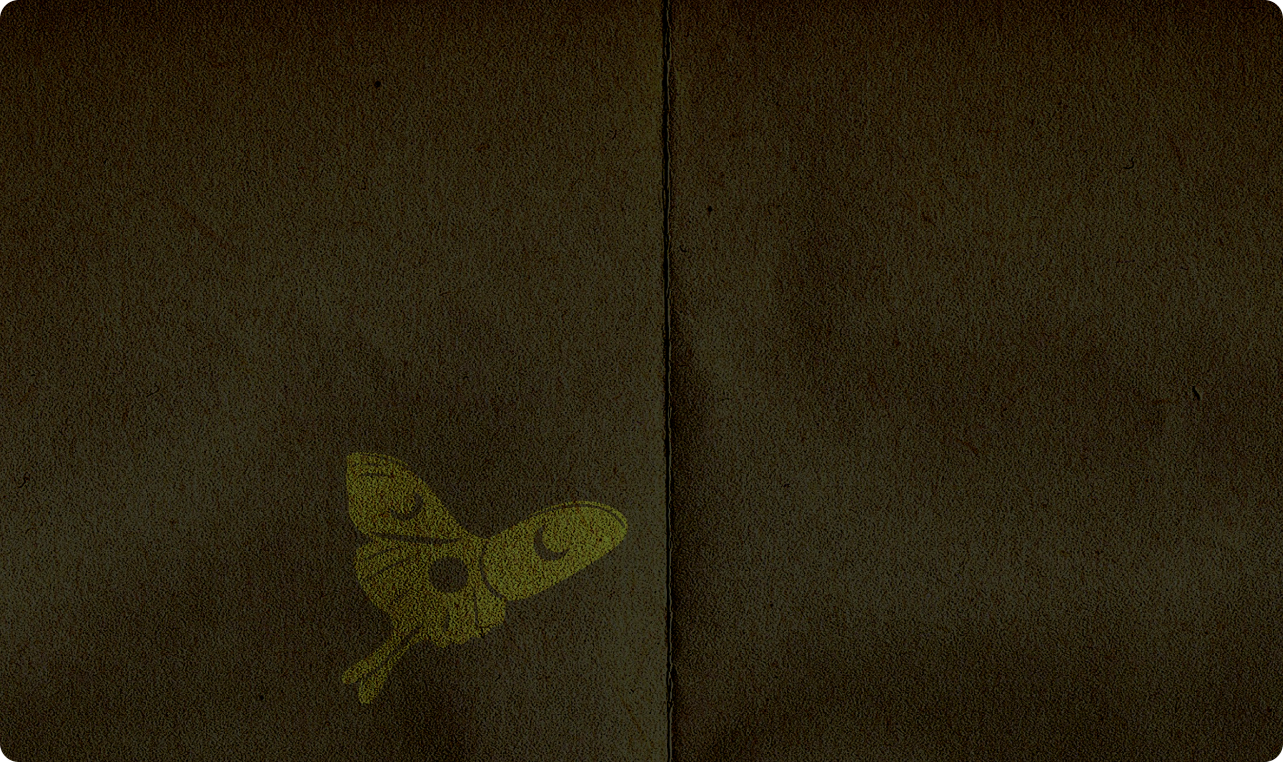 Moth illustration printed on green, textured paper