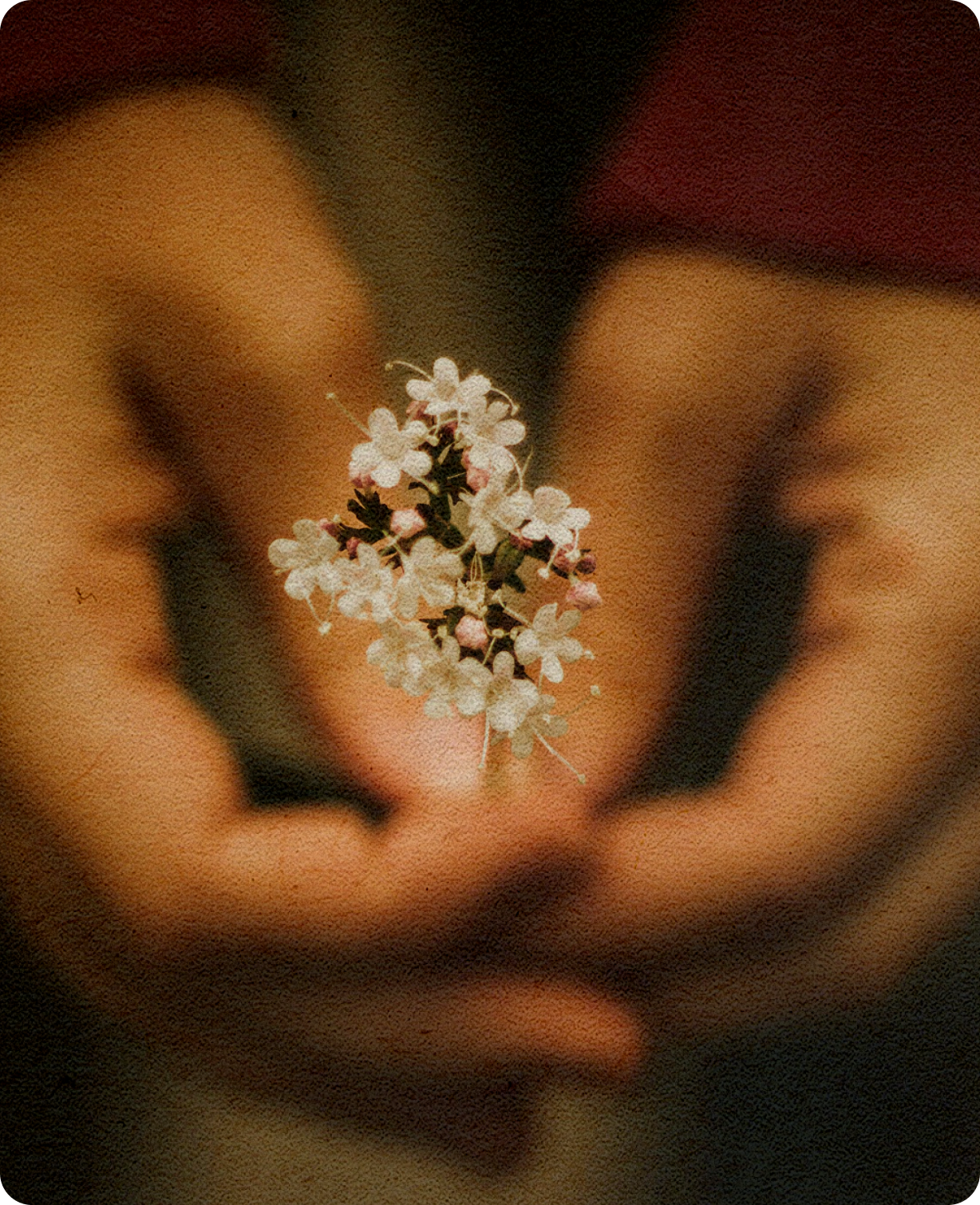 Person holding a small cluster of white flowers
