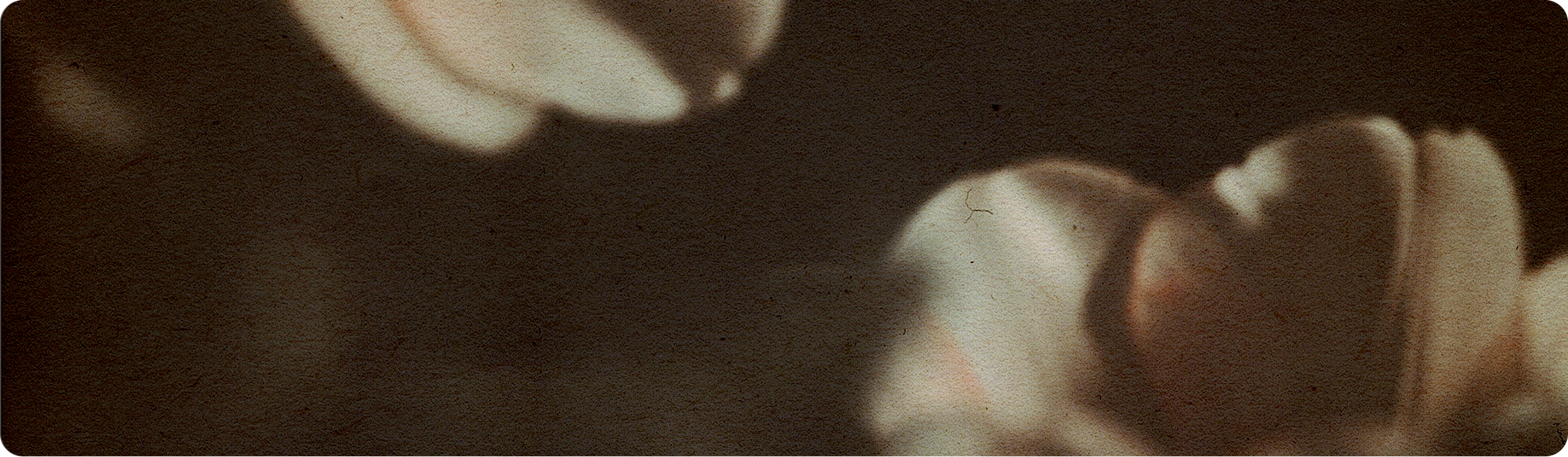 Moody close-up of a magnolia flower on a dark background.