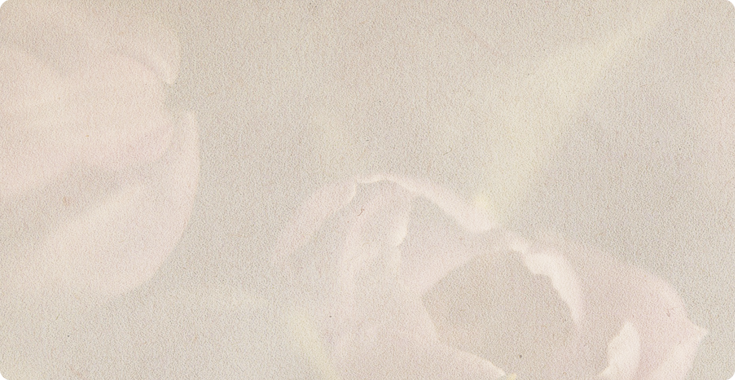 Close-up of tulips n a soft, textured background.