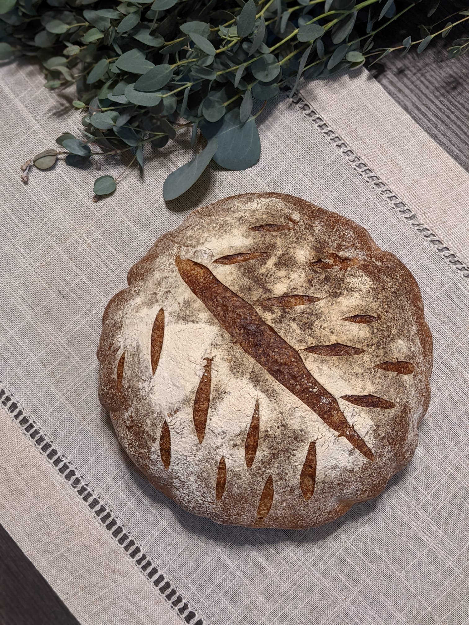 2022-01-27 09.24.18.jpg