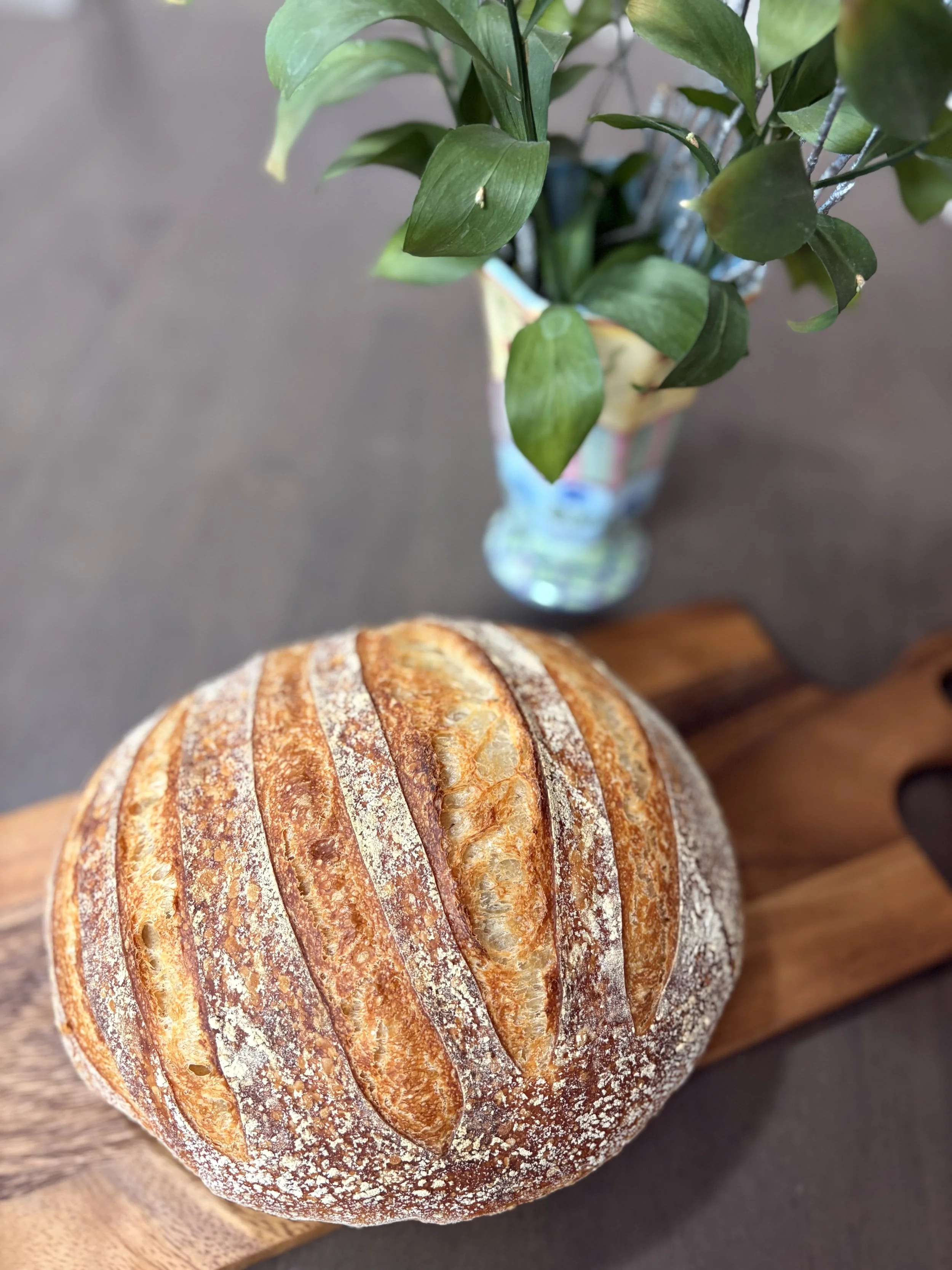 2025-03-07 17.15.15.jpg