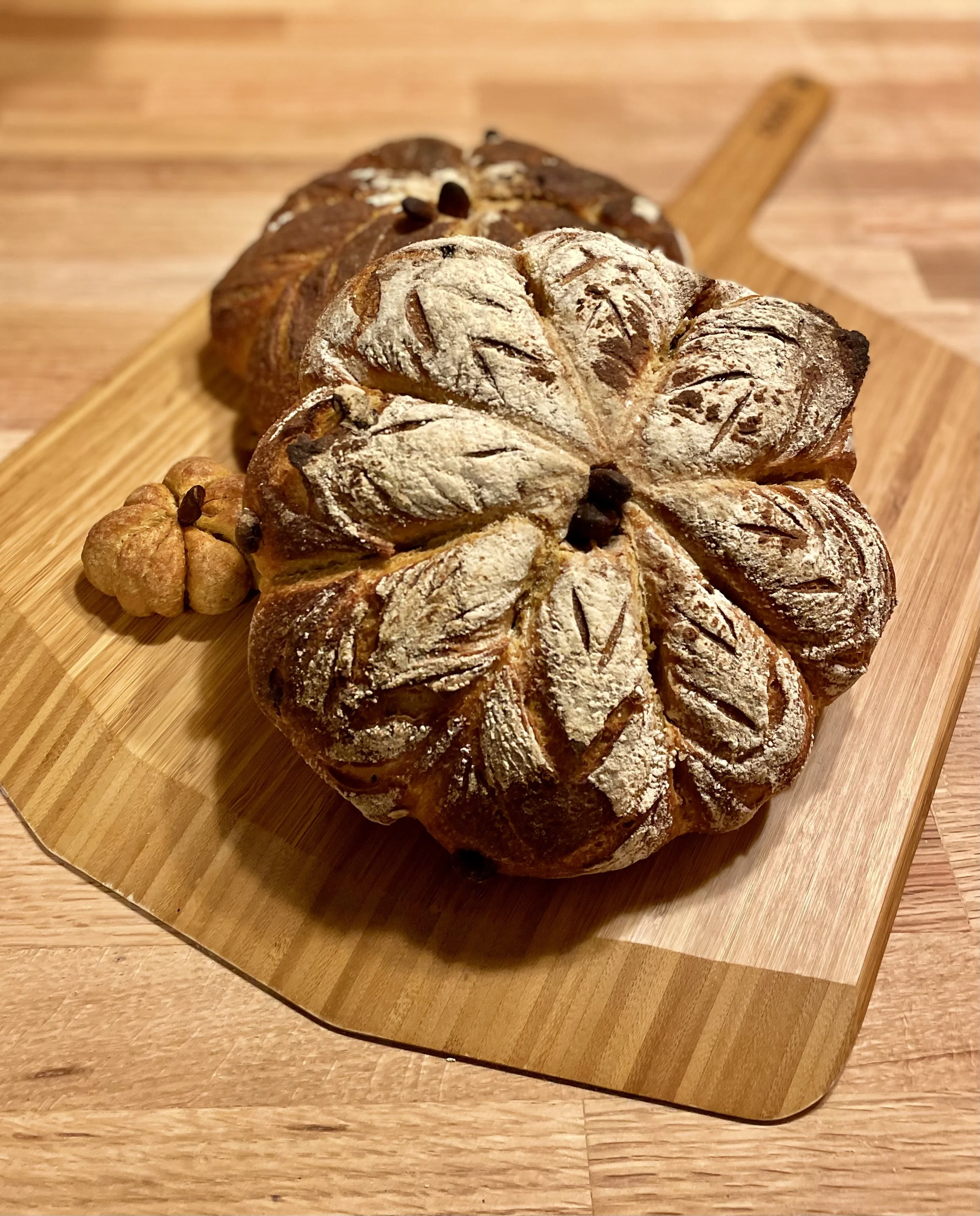 2022-11-15 19.18.01.jpg