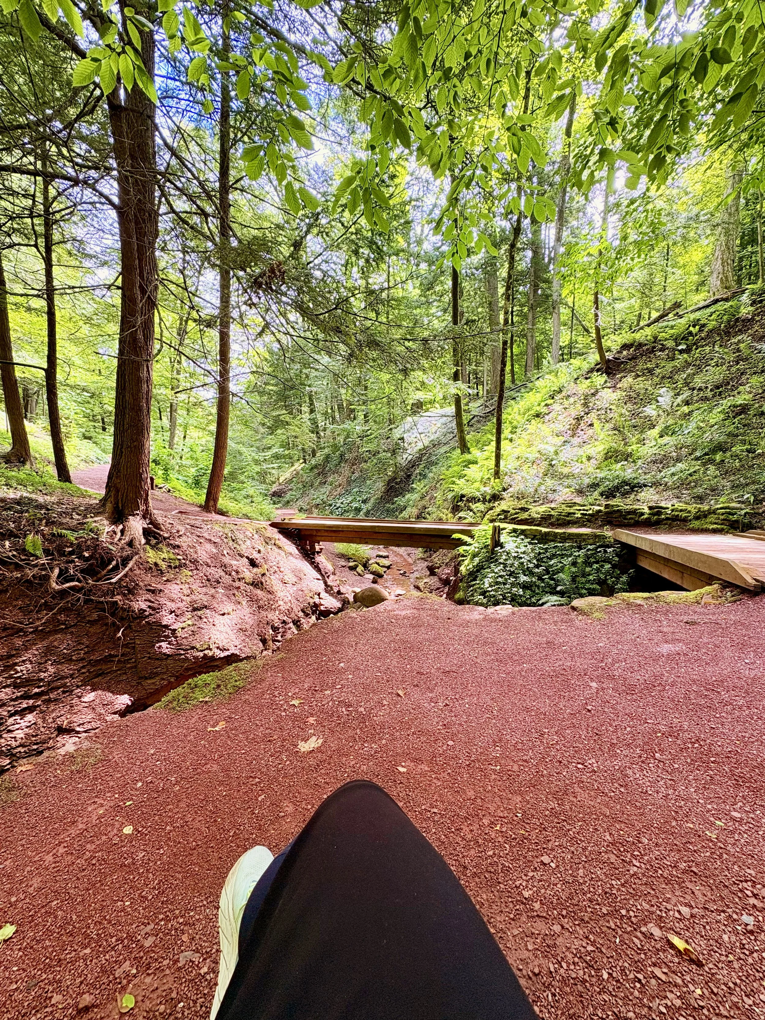 2025-08-21 11.51.38-1.jpg