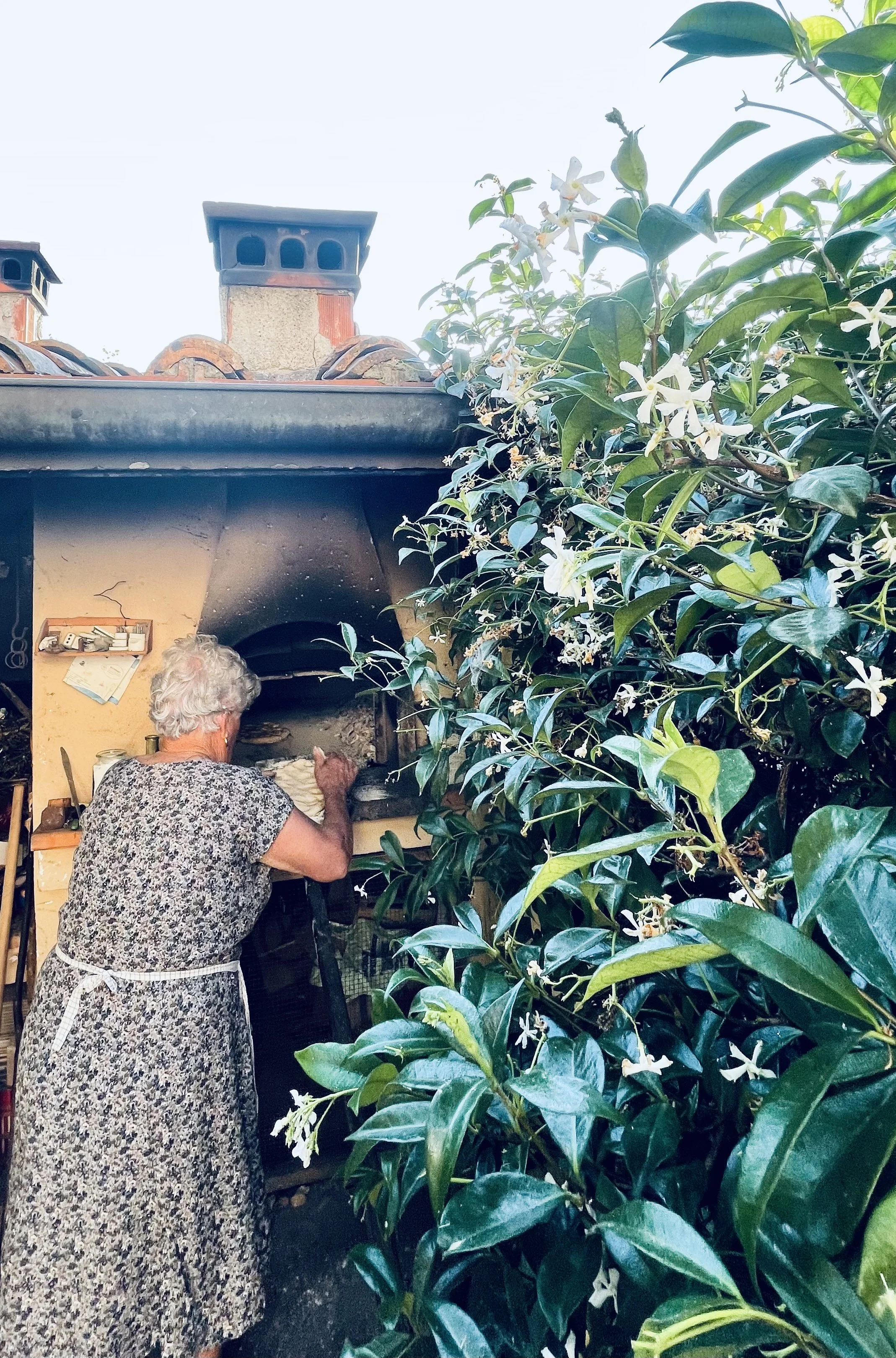 2022-06-19 19.41.56.jpg