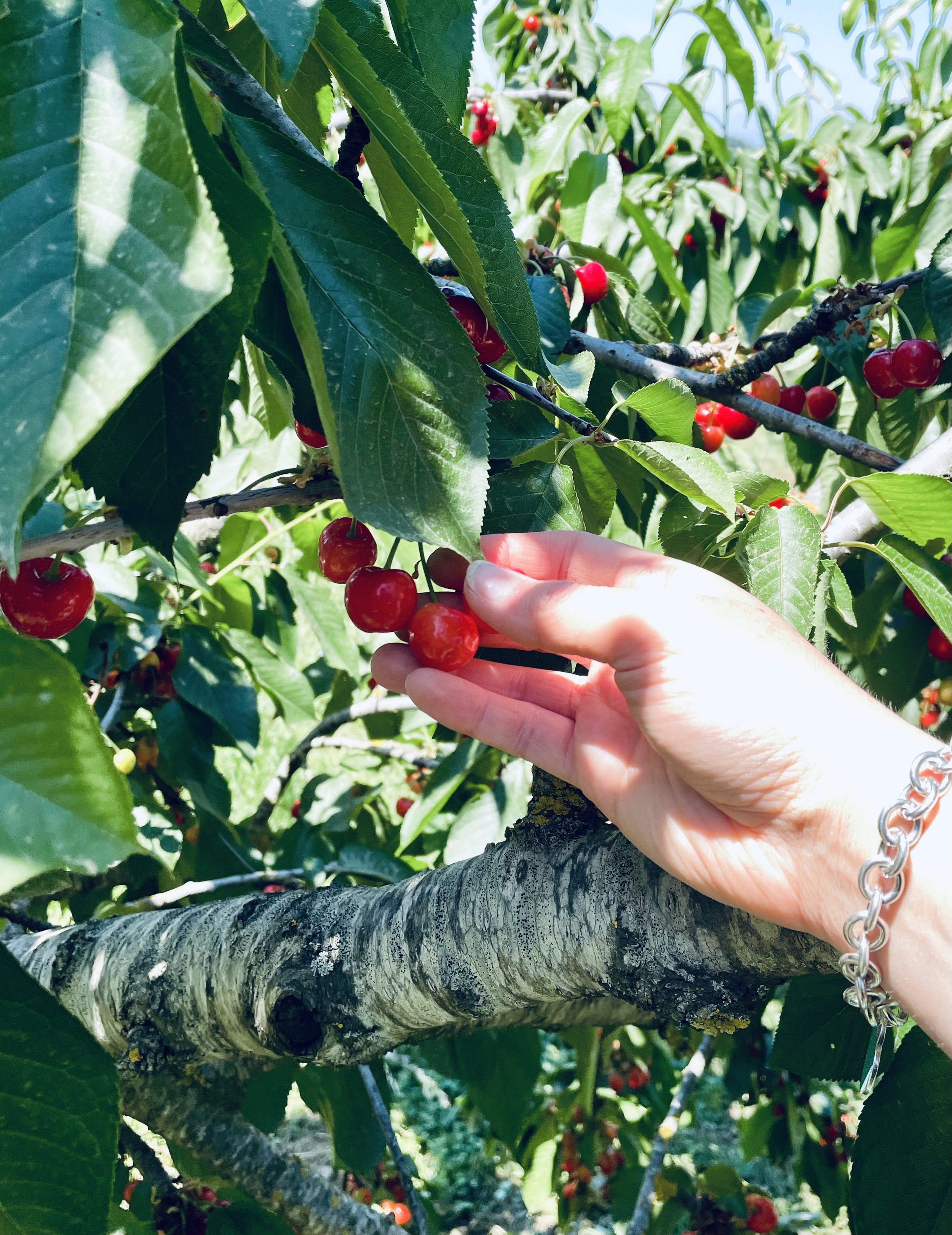 2022-06-01 14.18.28.jpg