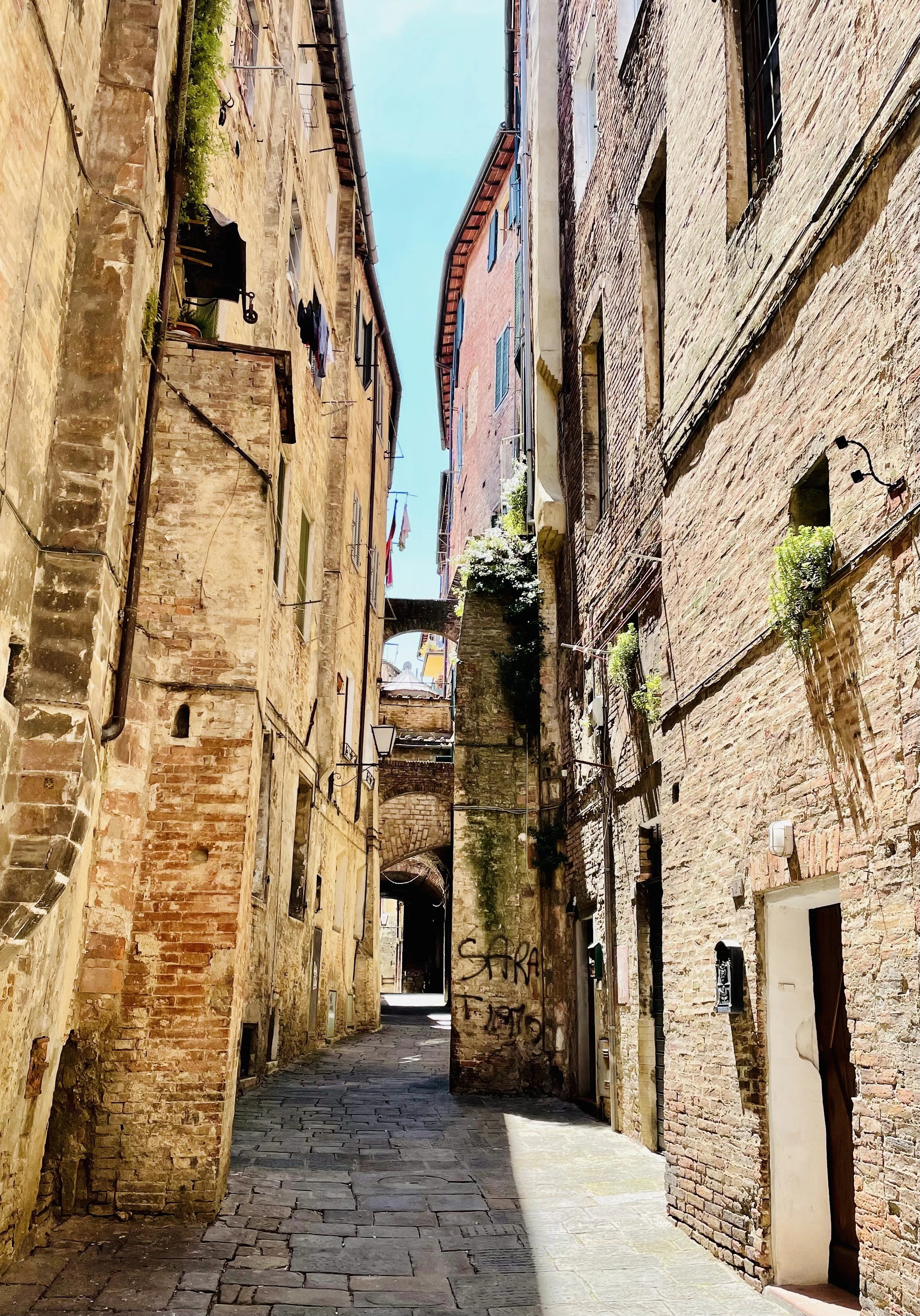 2022-06-13 13.34.31-1.jpg