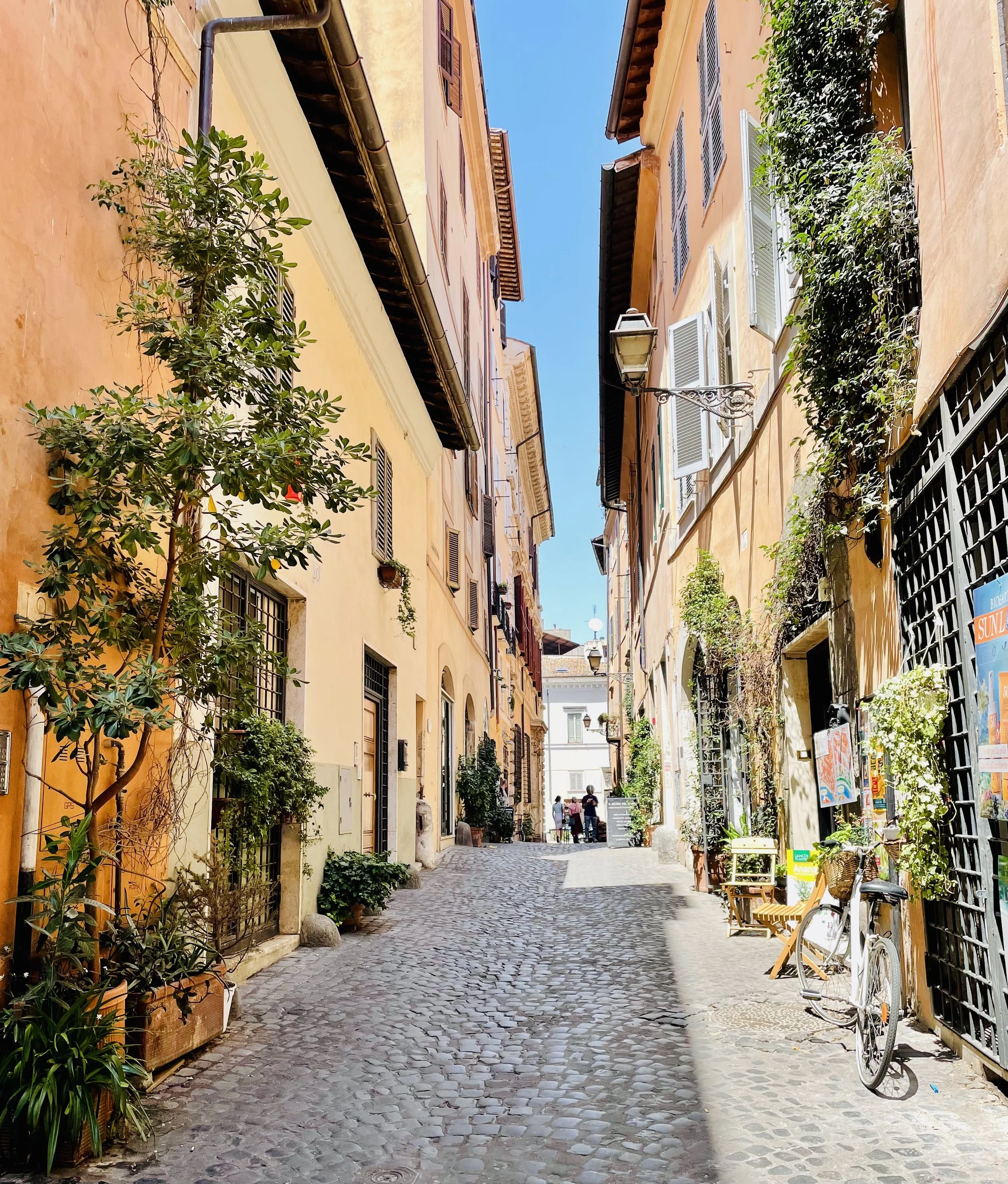 2022-06-16 14.09.28-1.jpg