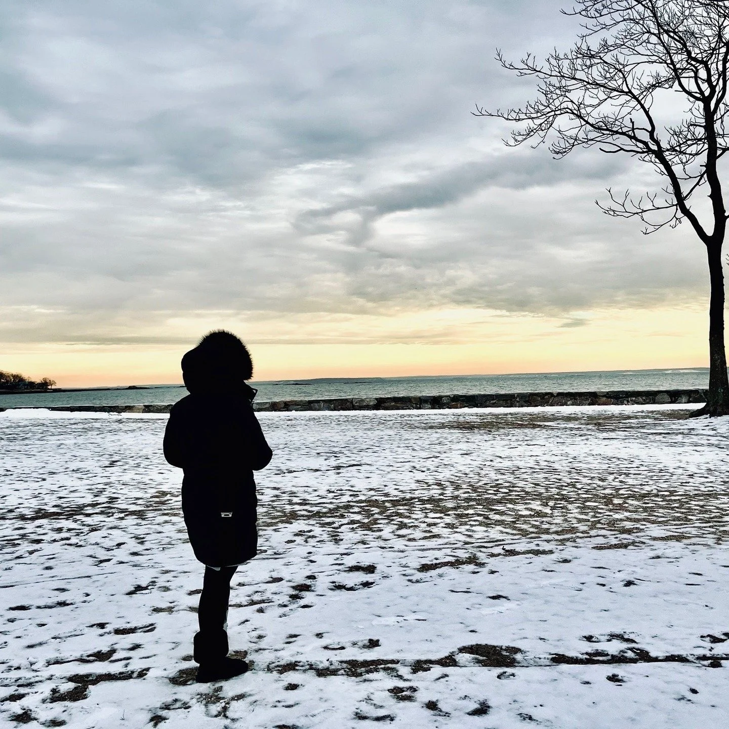 The post-holiday crash is real.

And it doesn&rsquo;t mean anything is wrong with you.

I shared a few thoughts on easing back into winter on the blog.

☞ https://www.poppyseedwellness.com/blog

#PoppyseedWellness #Healthcoach #Wellness #WinterBlues 