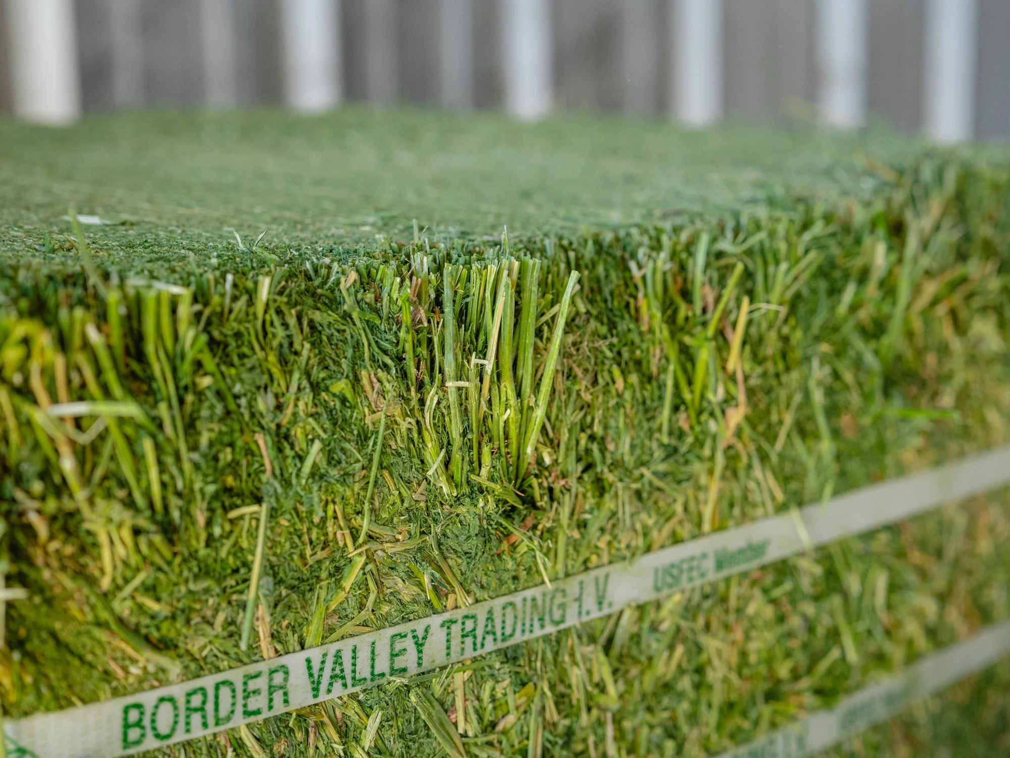 BVT-Product-Close-Alfalfa.jpg