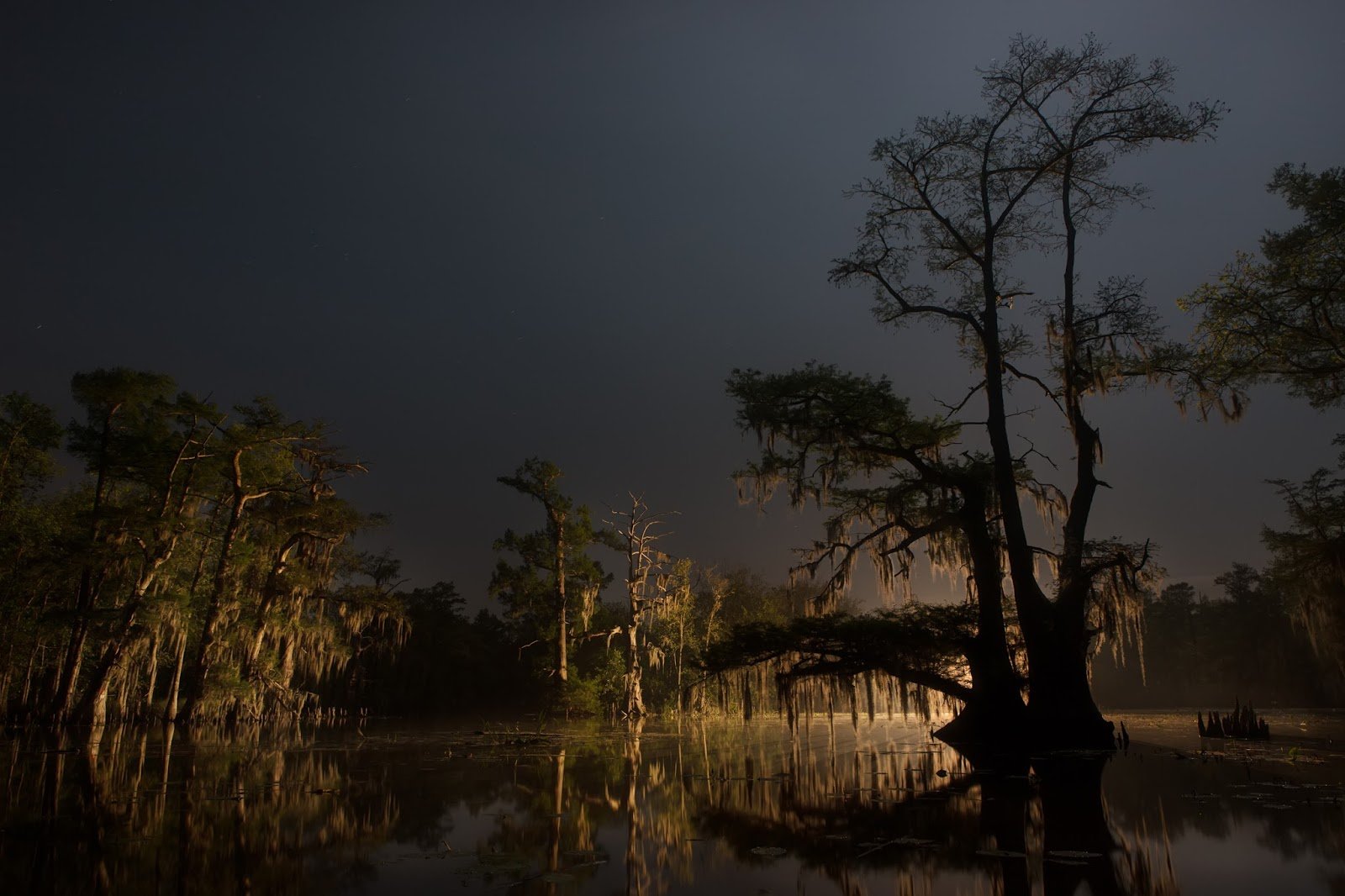 Bayou in city park in new orleans
