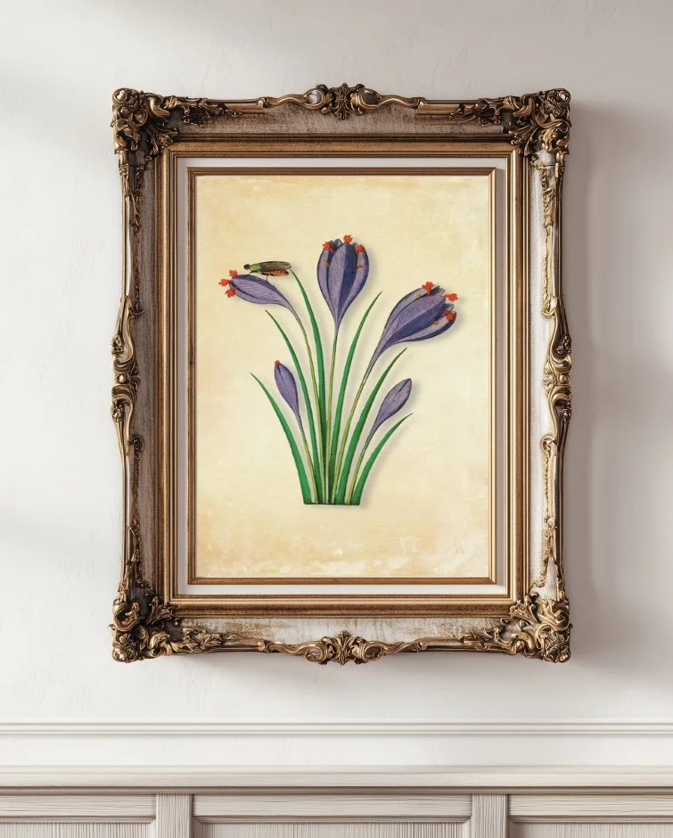 Saffron Crocus Botanical Flowers