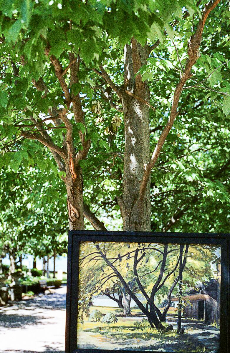 AburgTreePainting.jpg