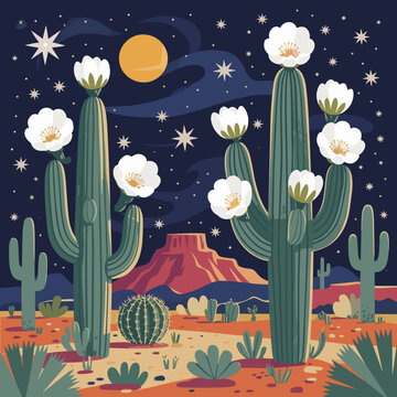 Desert Calm Camp