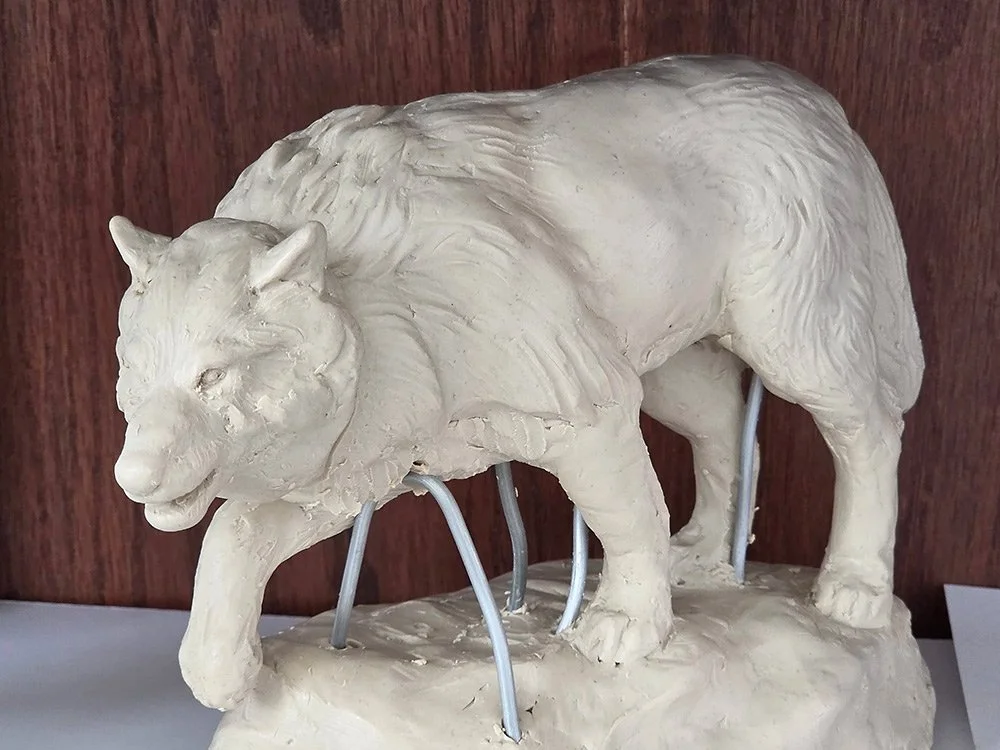 The clay sculpture of a stalking wolf, still in progress, was created by Vicky Oldham on her YouTube channel, YouTube.com/LearnSculpture. 