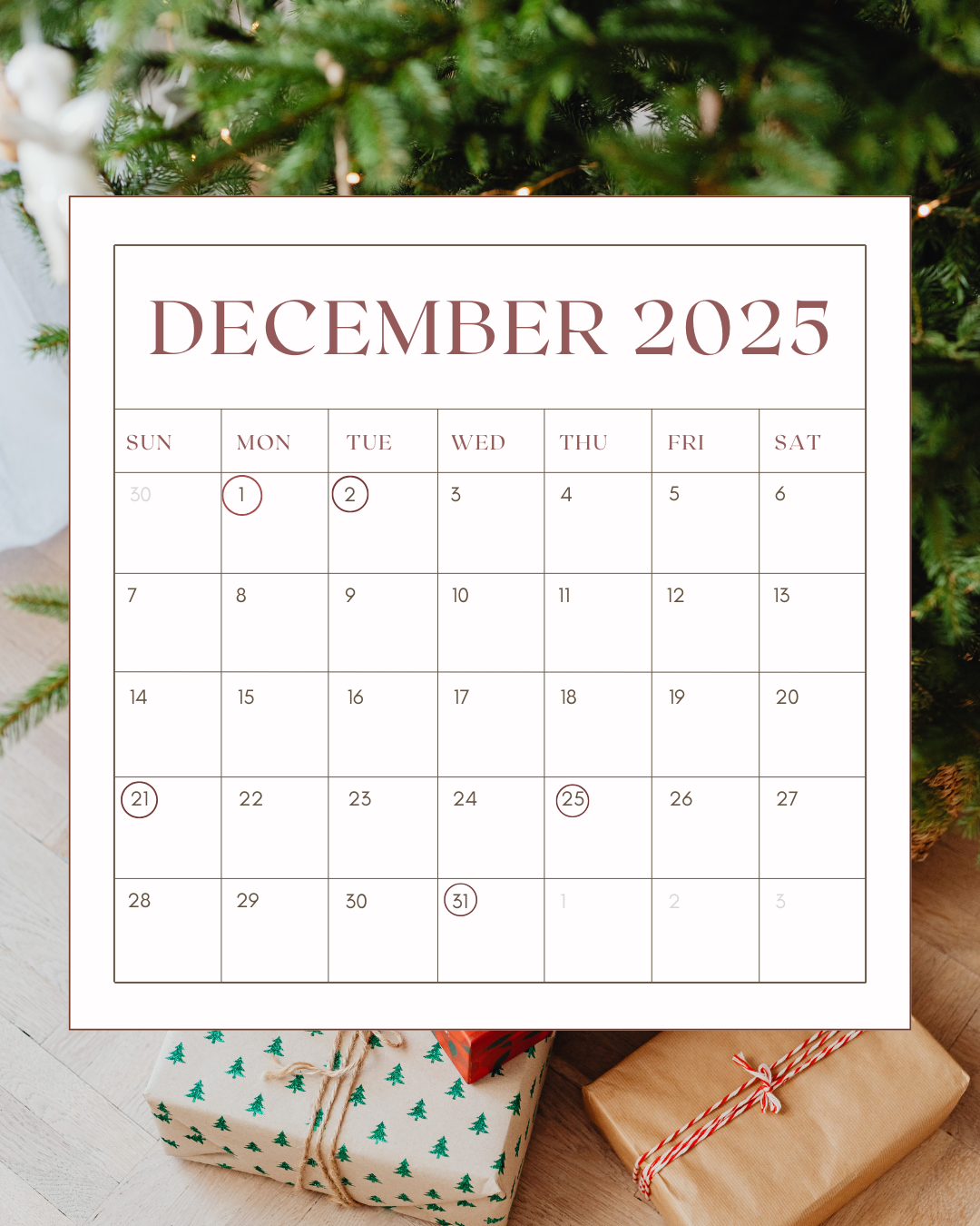 November and December Calendars (2).png