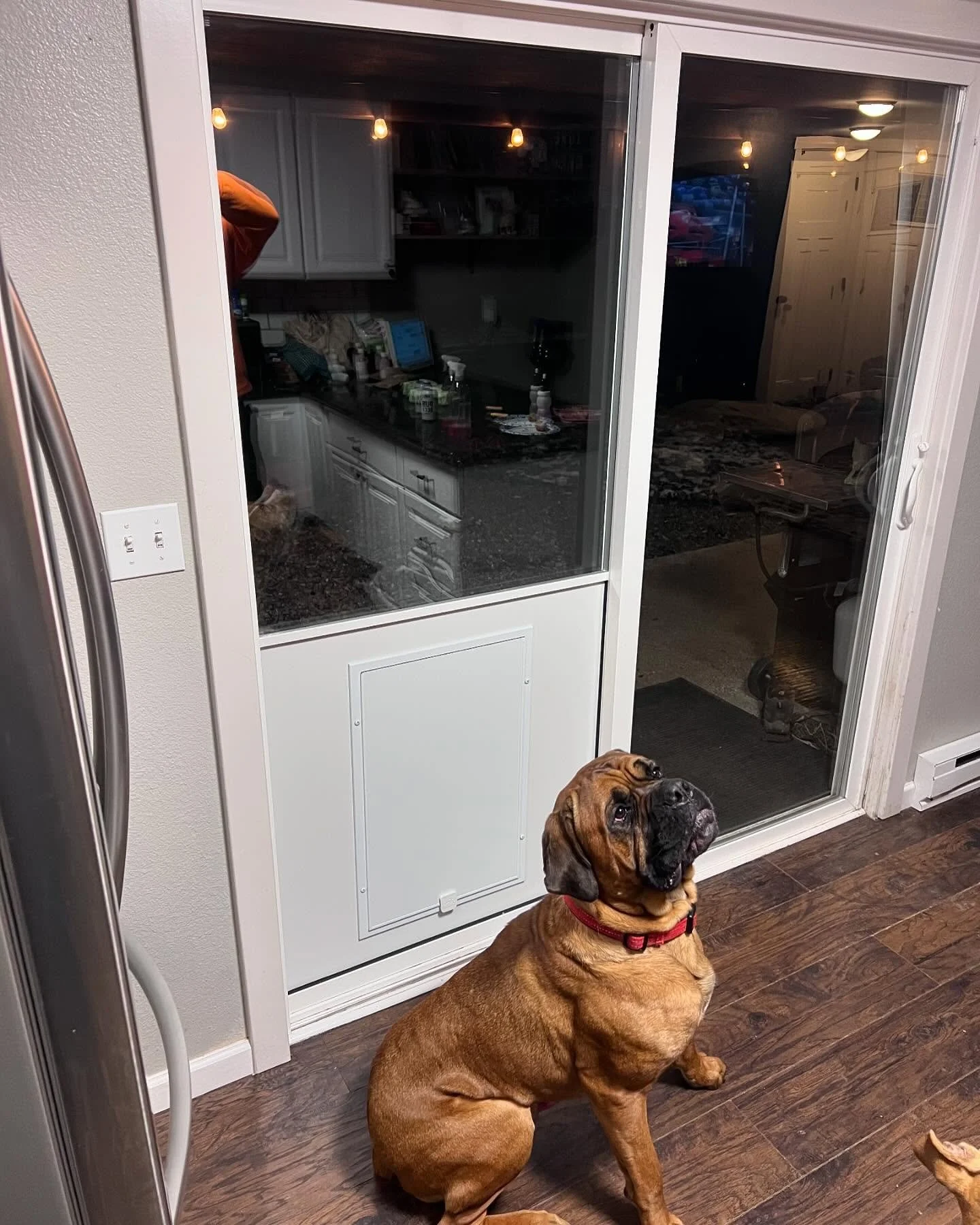 Dog Door Installed in a Patio Slider #glasscompany #dogdoor #glassinstallation #glass #patiodoor #seattleglass
