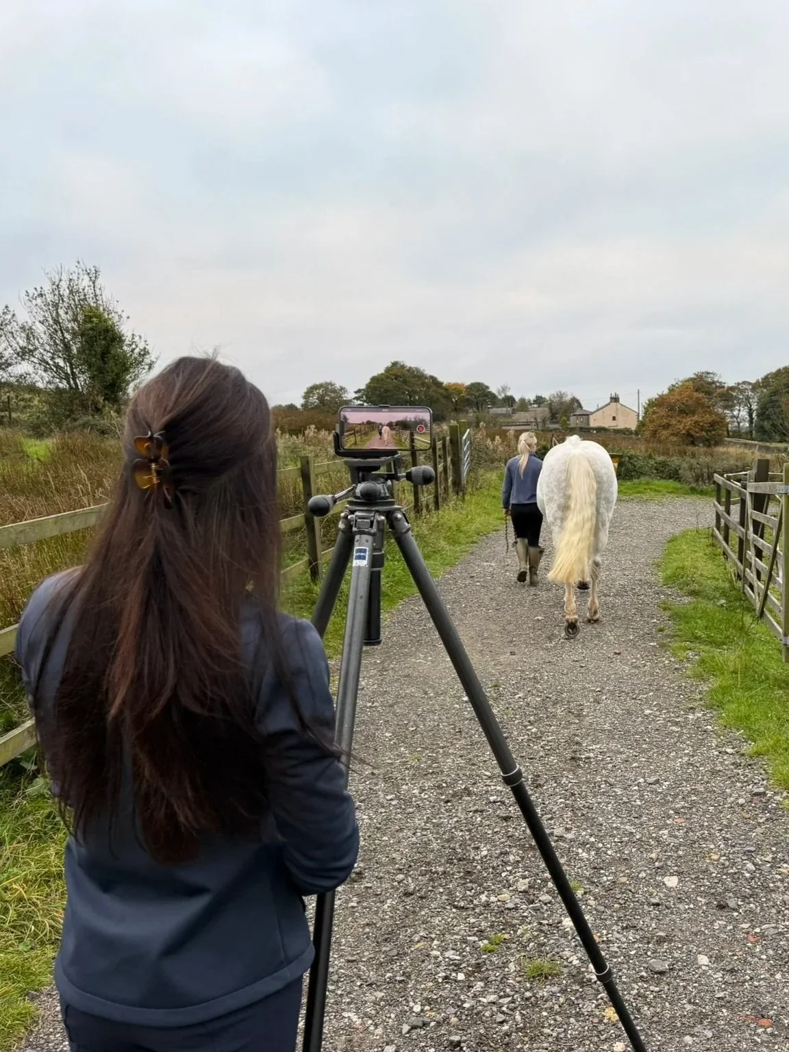 A woman films a horse trotting along a gravel path in a rural area, with wooden fences and trees on either side, overcast sky in the background.