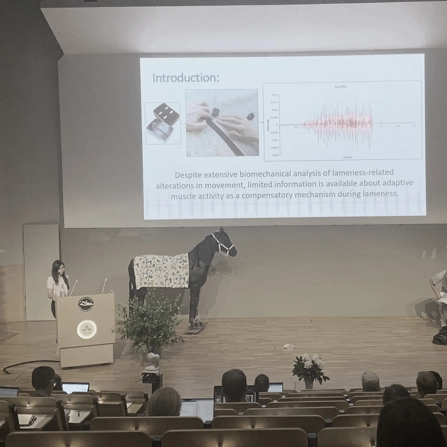 A speaker presenting in a lecture hall with a projection screen displaying a scientific presentation. The slide is titled "Introduction" and includes surface electromyography images. There is a horse figure on stage and a podium and seated audience.