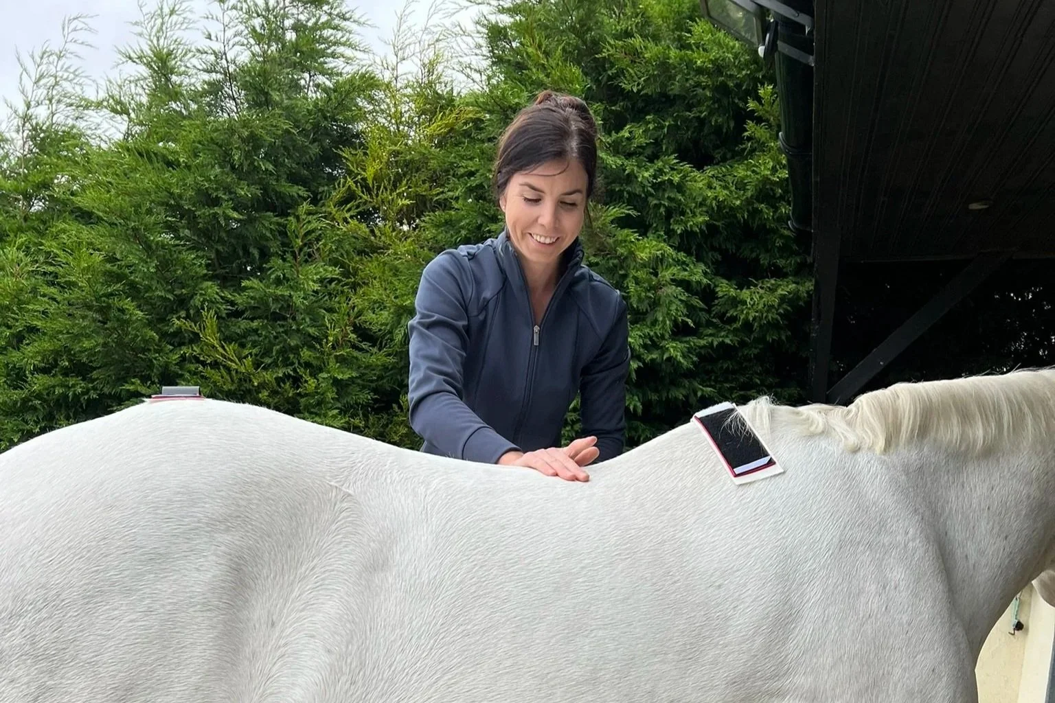 A woman in a blue jacket is palpating and massaging a grey horse's back, with green bushes in the background.