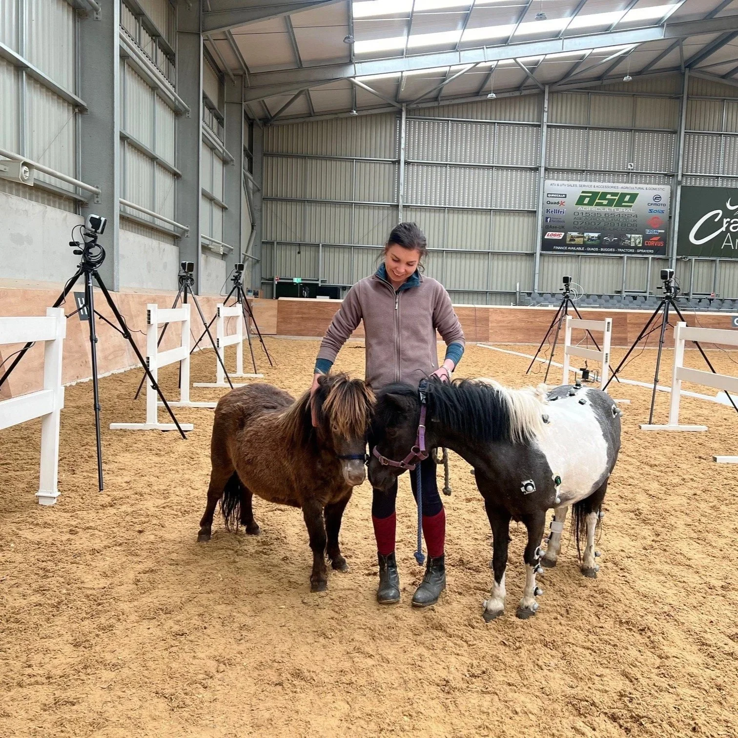 A woman in equestrian attire standing in an indoor riding arena with two ponies, one brown and one black and white, touching foreheads. There is a 3D optical motion capture system (qualysis) with cameras on tripods lined up along the arena walls.