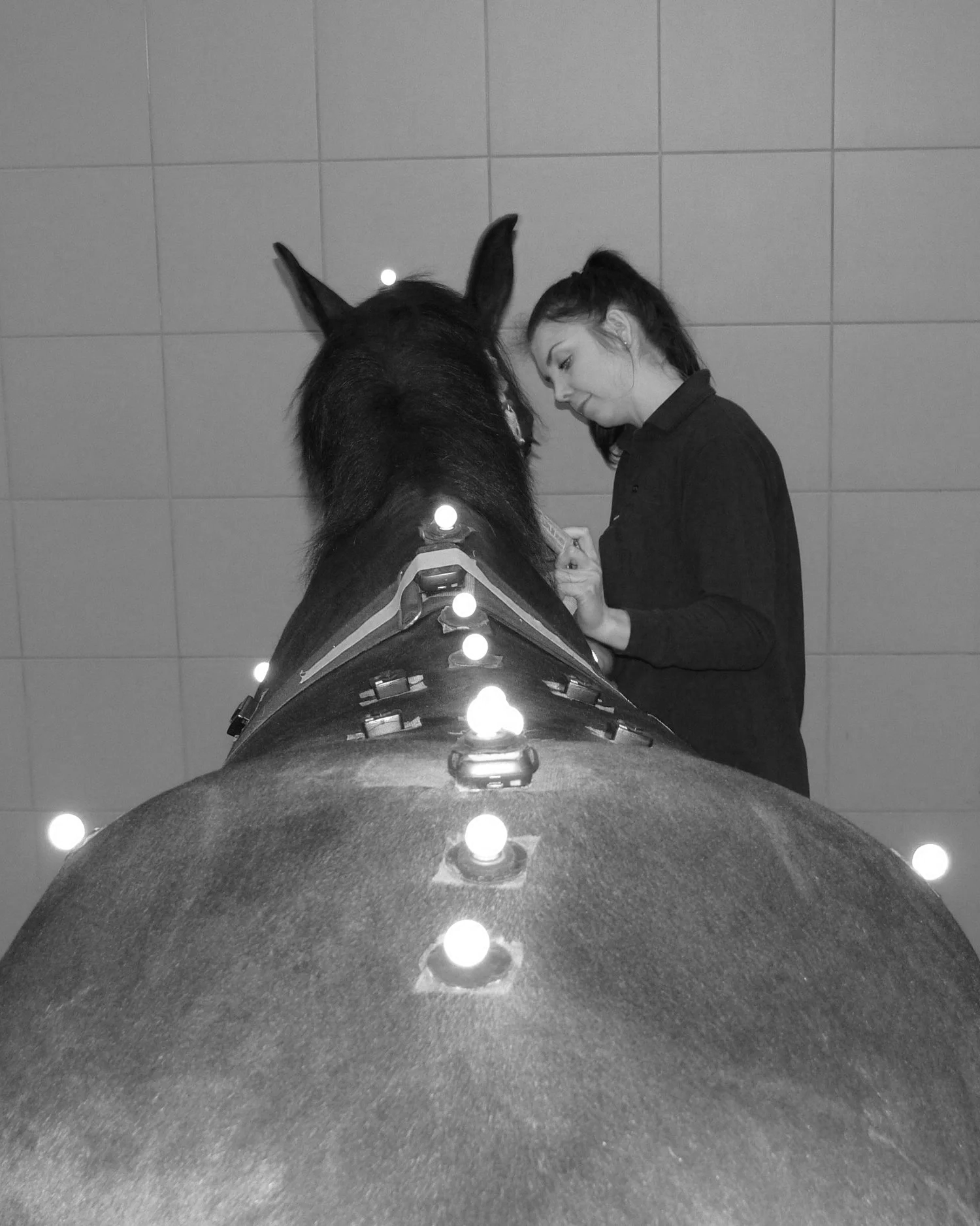 A woman and a horse with retroreflective markers and sensors attached to the horses back and pelvis ready to collect 3D equine biomechanics / kinematic data