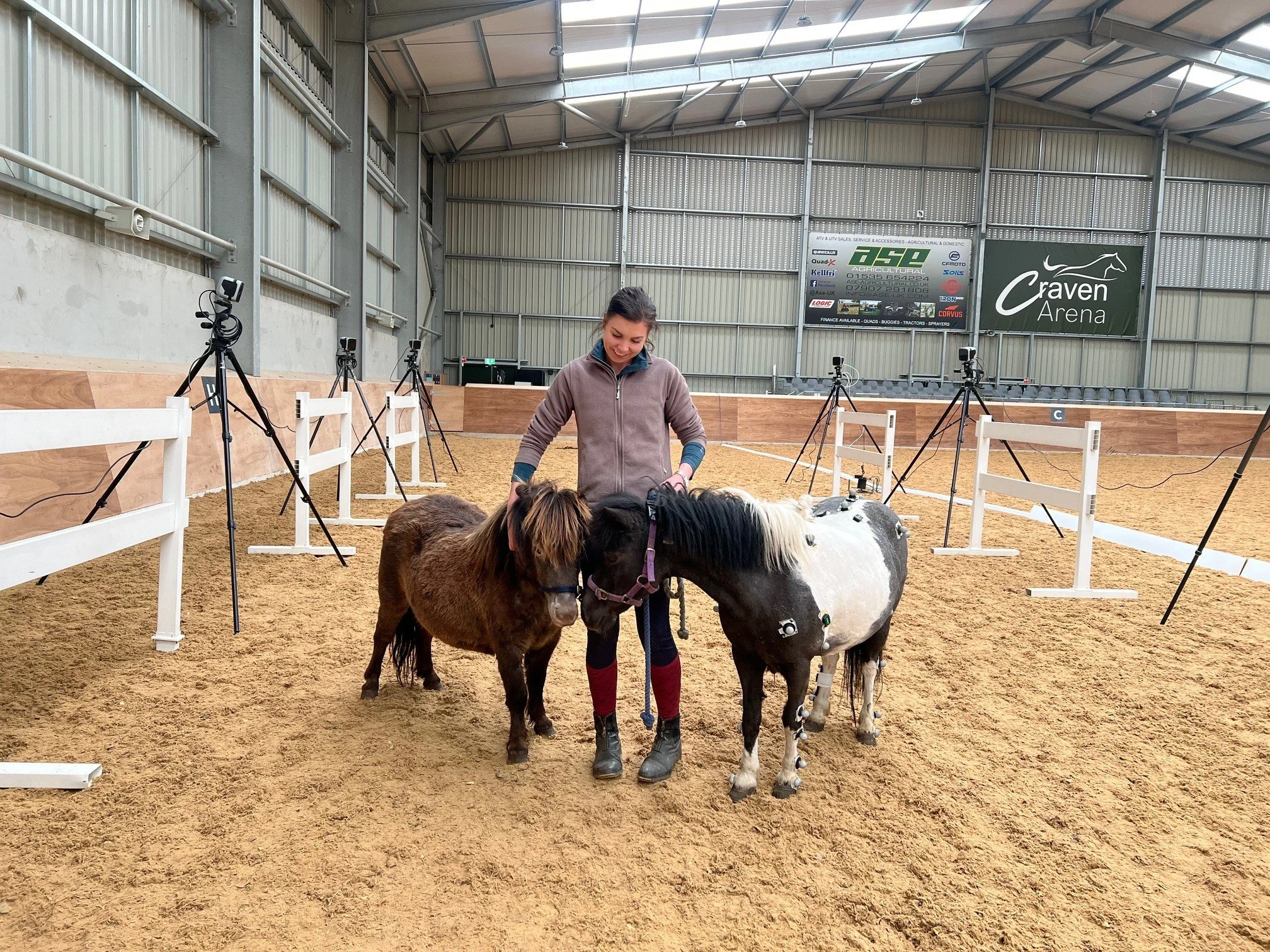 A woman standing with two small ponies in an indoor riding arena. One pony is brown and the other is black and white. There is an optical motion capture (qualisys) system in the arena with cameras on tripods to collect equine biomechanics data