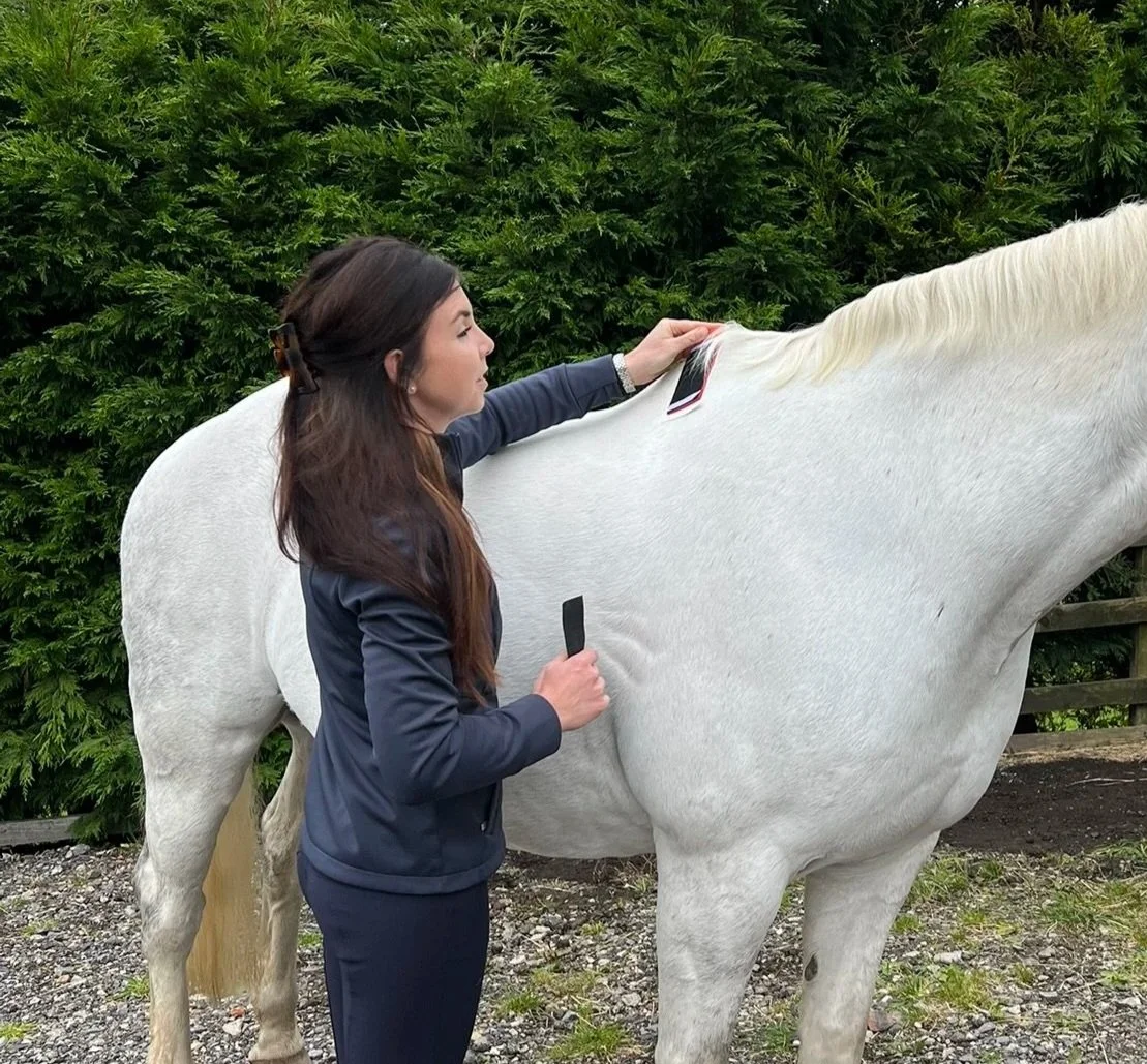 A woman in a navy jacket applying an IMU sensor to the withers of a grey horse, with a background of green trees.