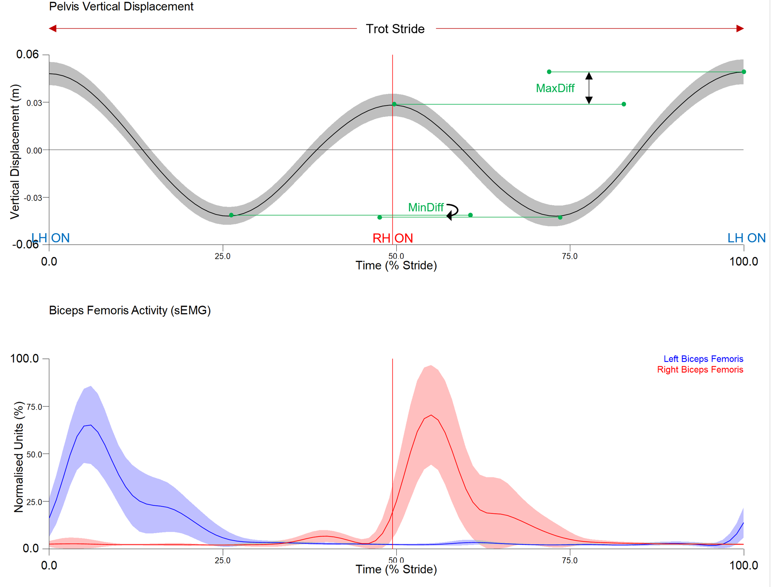 Graph showing pelvic vertical displacement and biceps femoris activity over time during a stride, with maximum and minimum displacement differences and muscle activity levels.