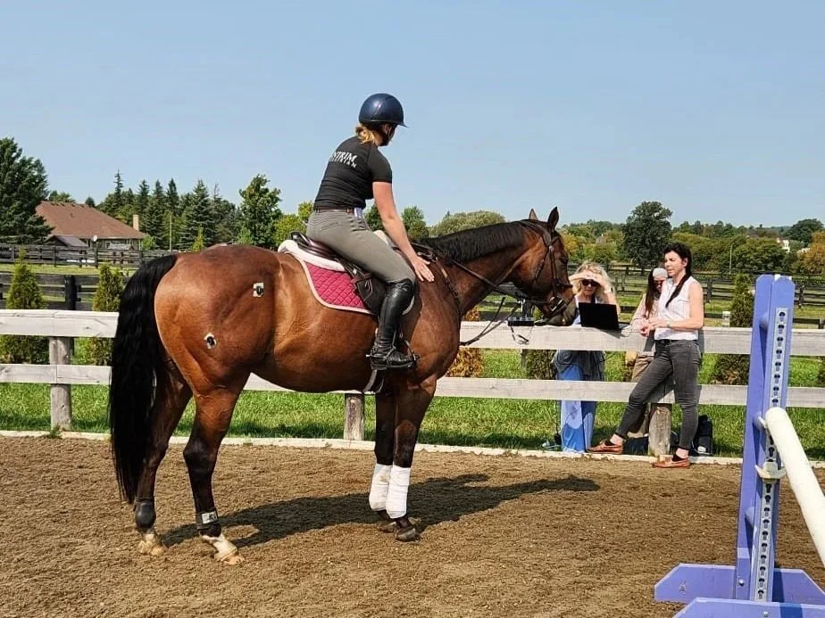 A person in riding gear and helmet sitting on a brown horse in an outdoor riding arena, with two women standing near a fence watching and working on a laptop.