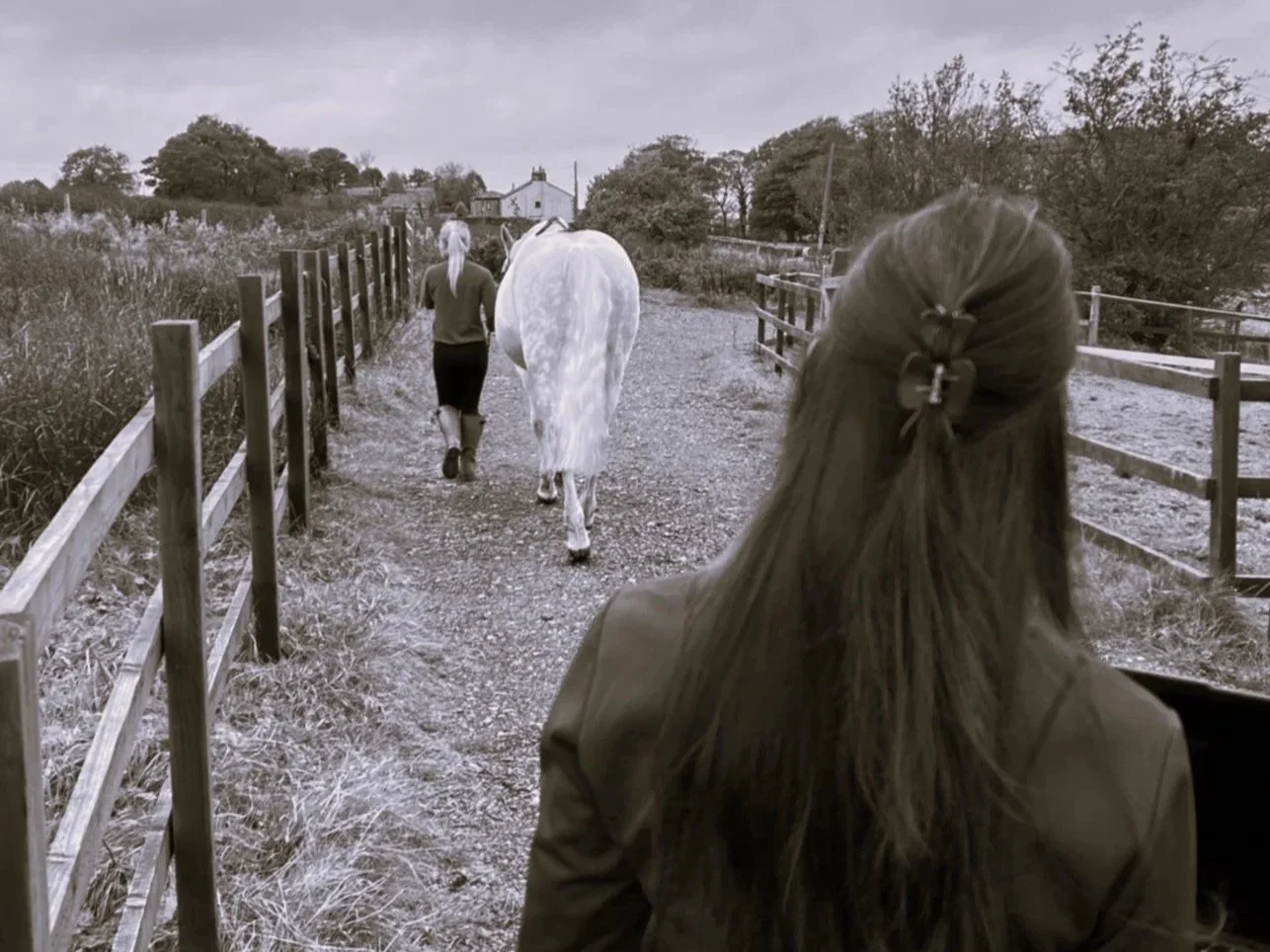 A woman assesses equine gait from a white horse being led by another woman down a path. The horse is wearing IMU sensors. 