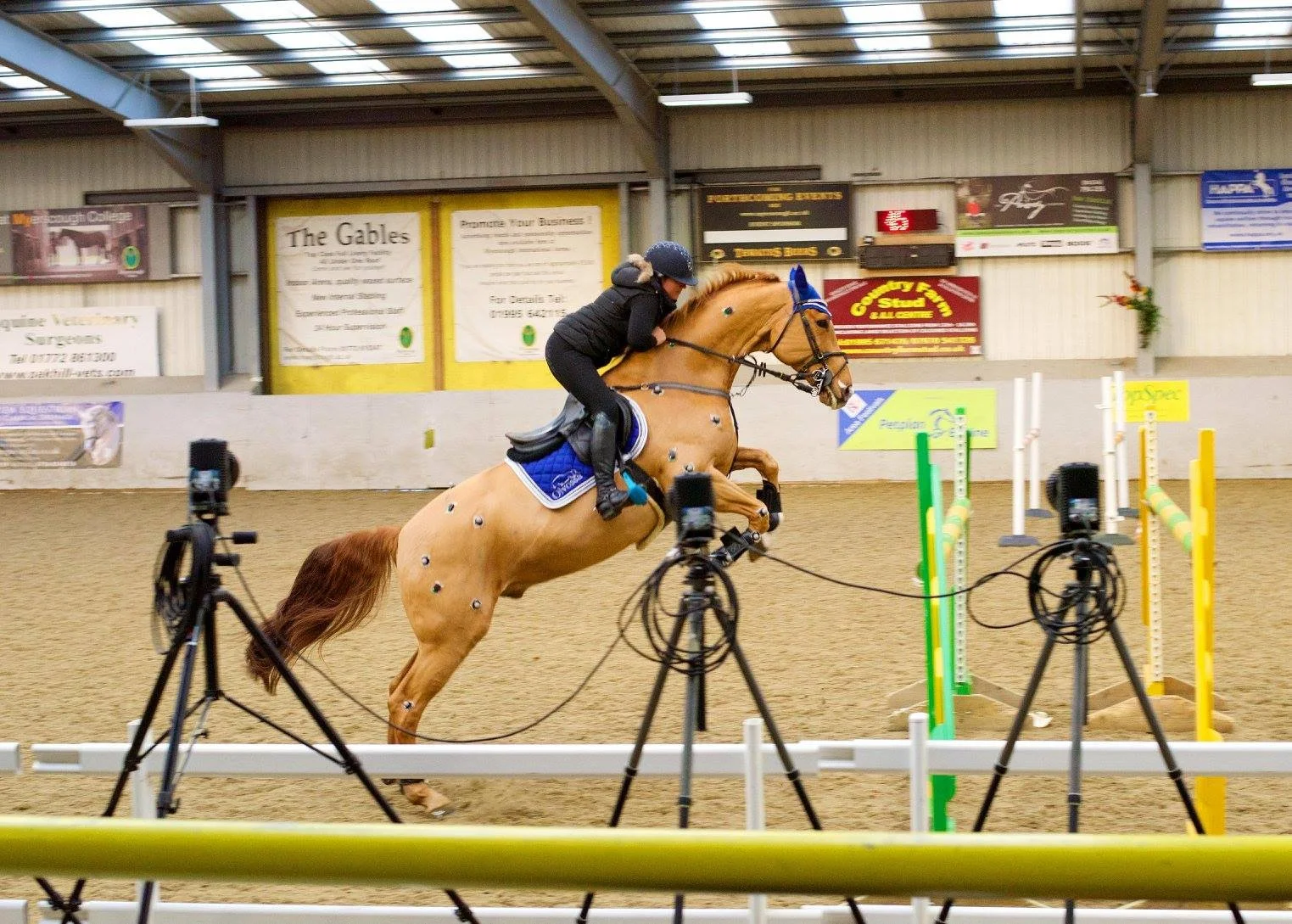 A rider and horse jumping over an obstacle in an indoor equestrian arena, with cameras capturing the event. the horse has markers and sensors attached to anatomical landmarks for biomechanics data collection. 