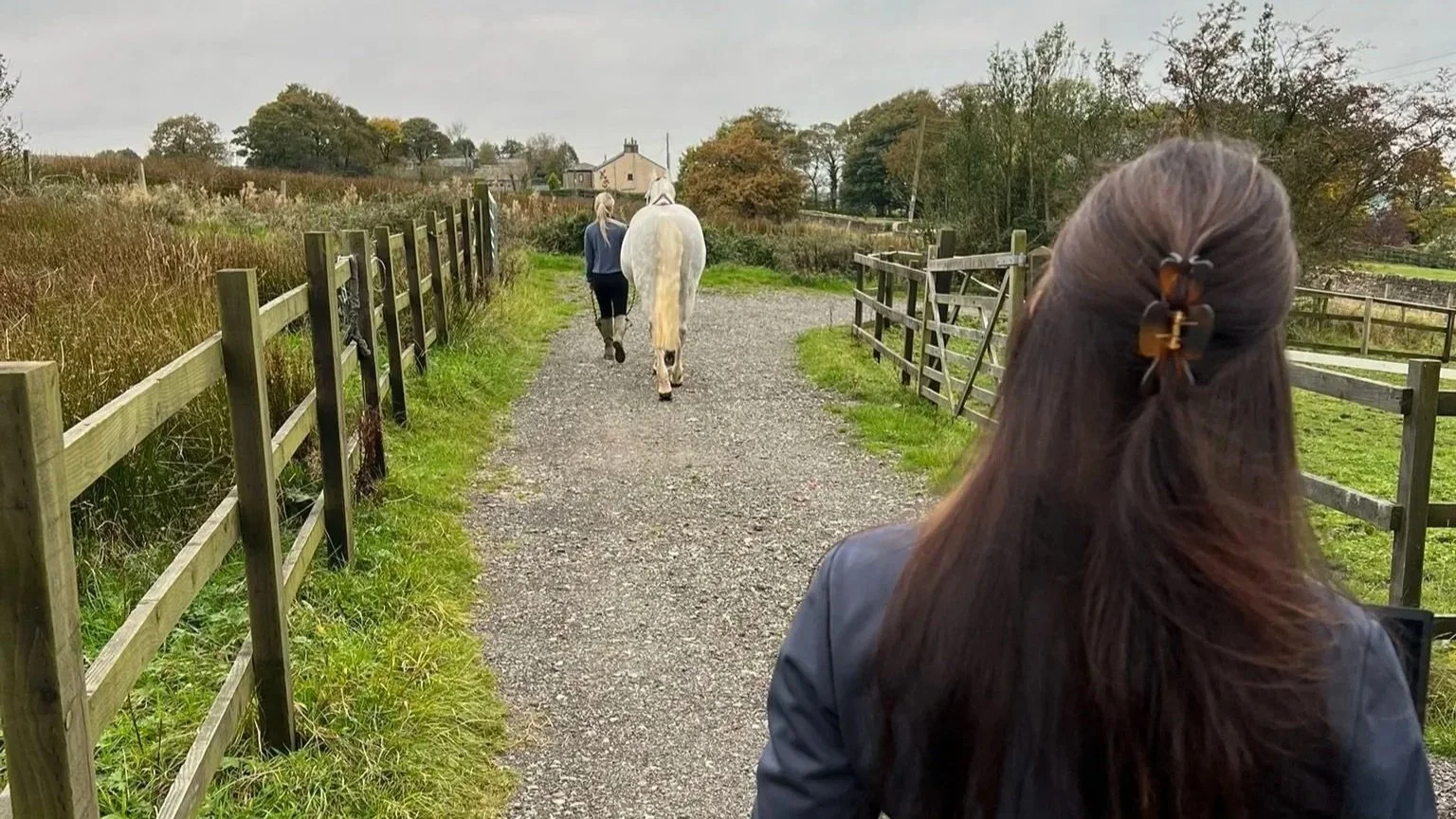Woman walking on a gravel path with a white horse, fenced on both sides, in a rural setting with trees and houses in the distance.