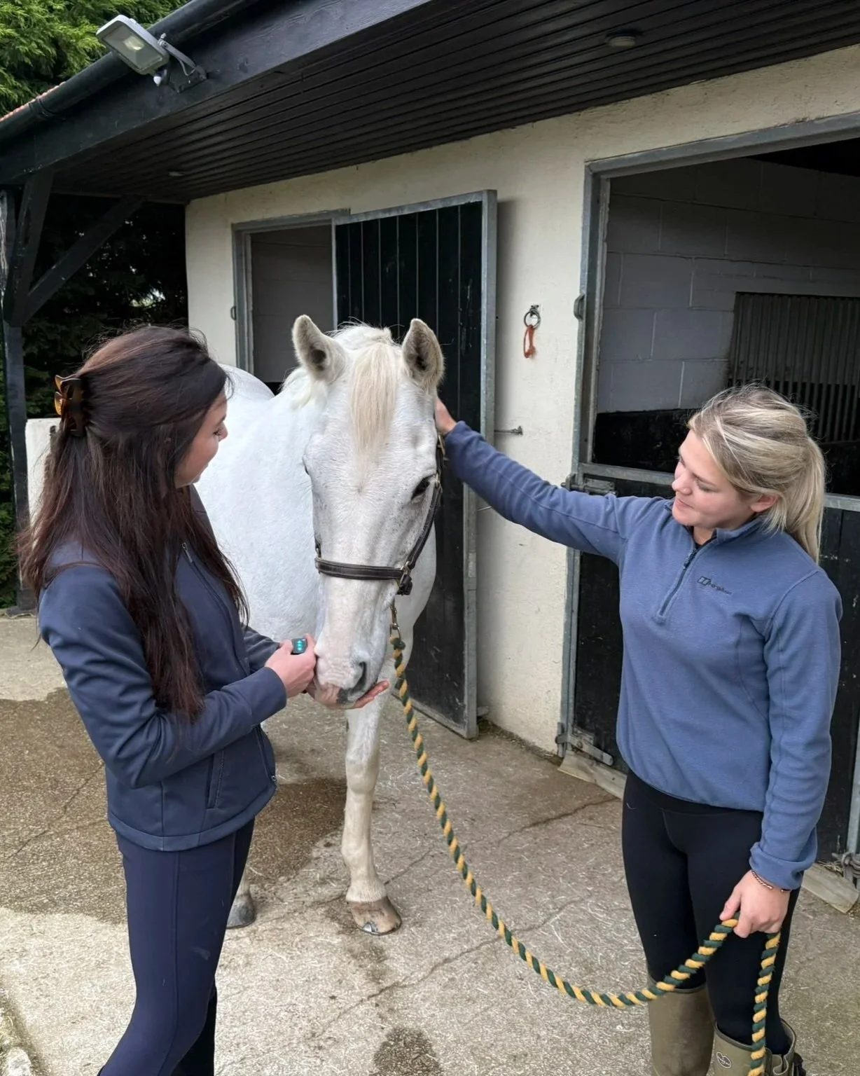 Two women pet a white horse outside a stable, one woman is holding a Delsys surface electromyography sensor.