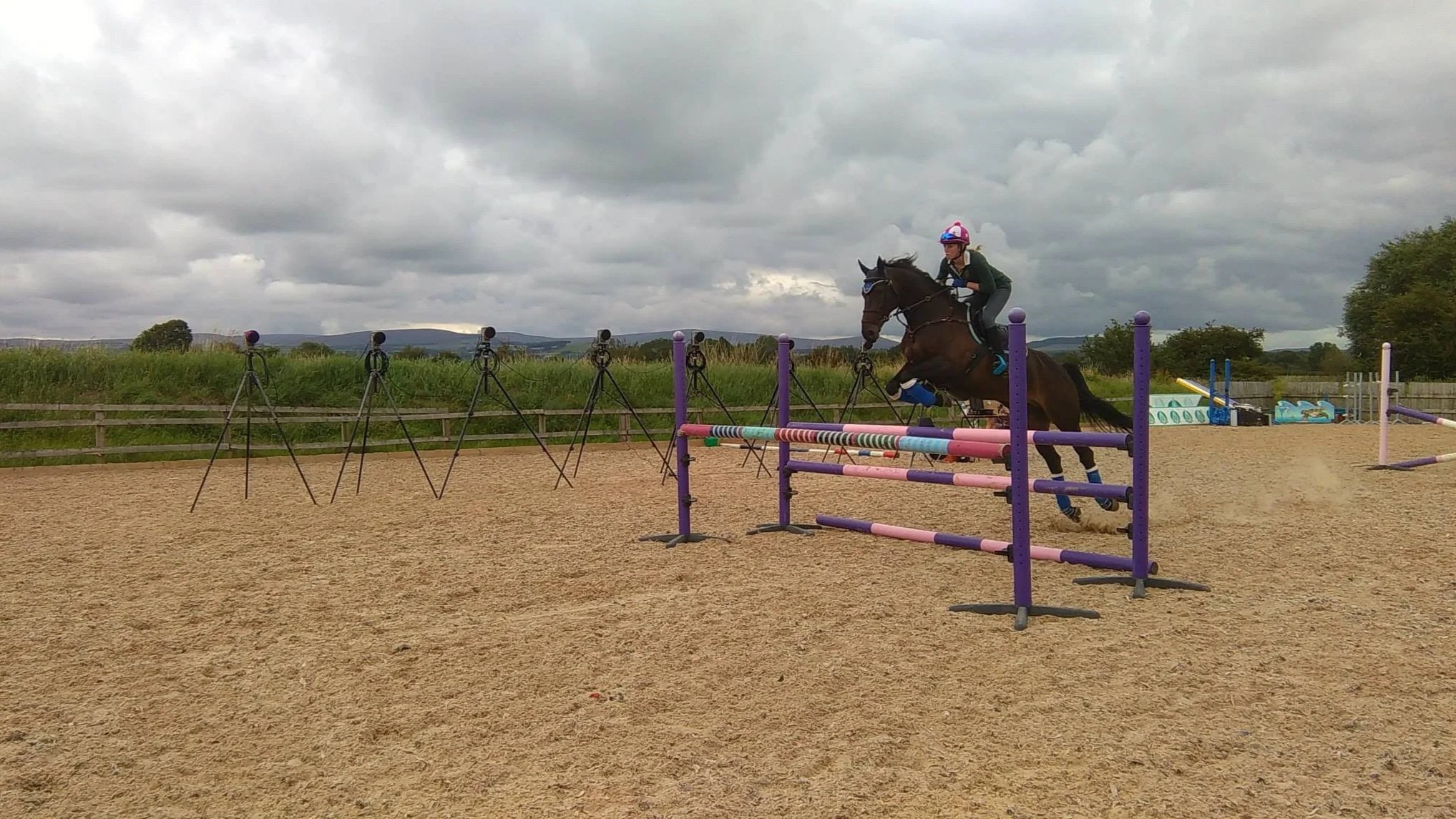 A person wearing a pink helmet and black riding gear is jumping over a colorful obstacle on a brown horse in an outdoor equestrian arena while qualisys cameras capture equine biomechanics data. 
