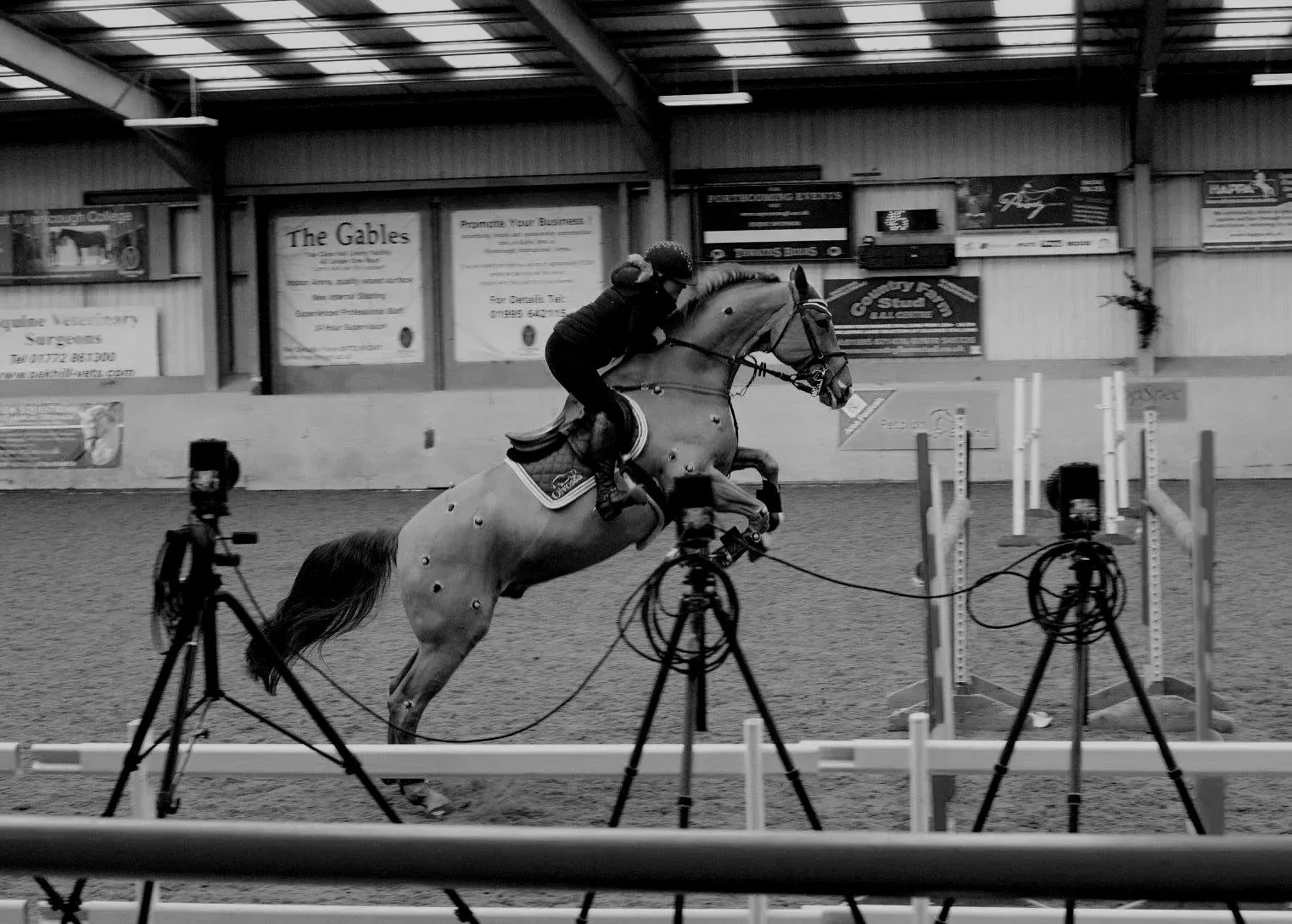A person riding a horse over show jump in an indoor arena. The horse has markers on anatomical landmarks and optical motion capture cameras are in the foreground.