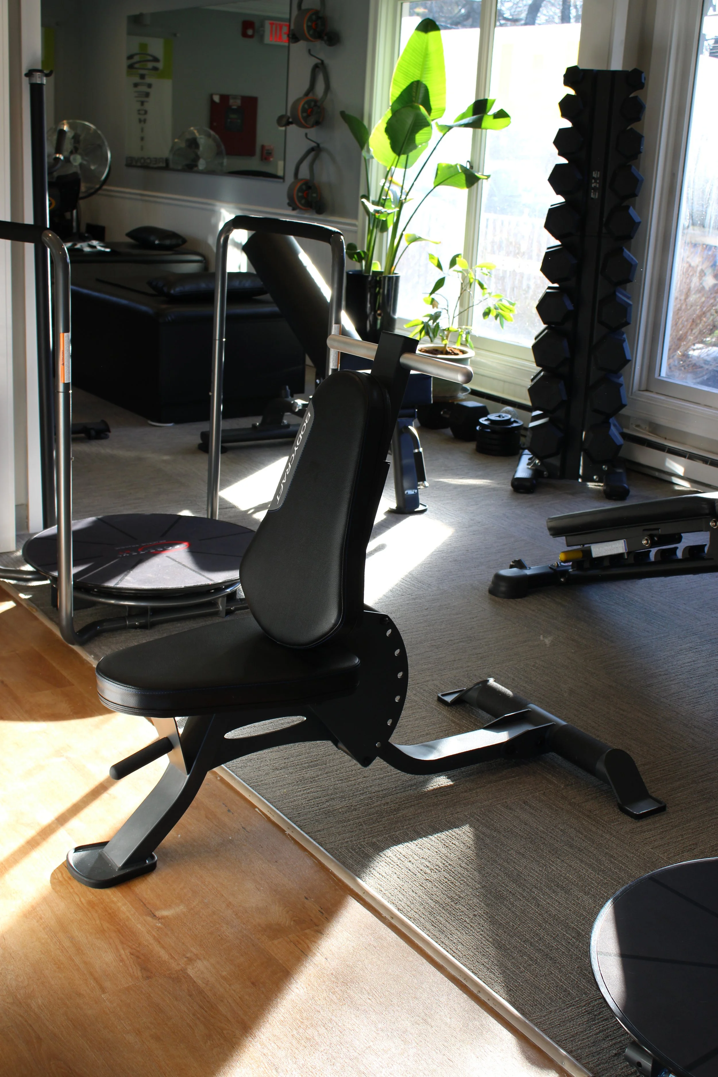 Gym with a black workout bench, a rack of black dumbbells, a weight plate, and a padded piece of workout equipment in front of a large window with sunlight.