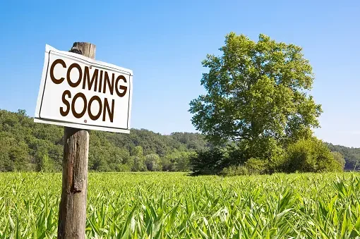 A 'Coming Soon' sign on a wooden post in a grassy field with a tree and blue sky in the background.