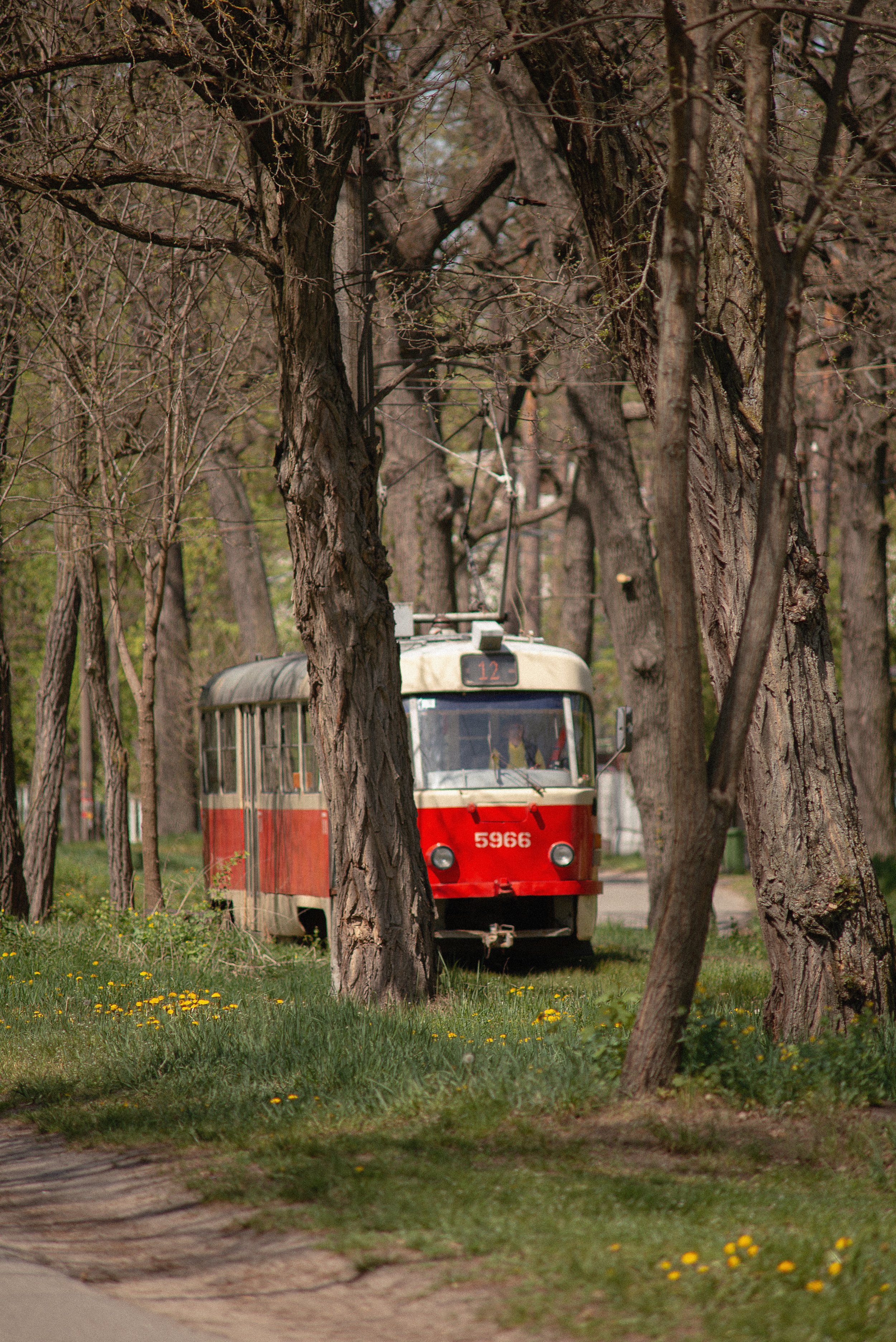 DSC_3668.jpg