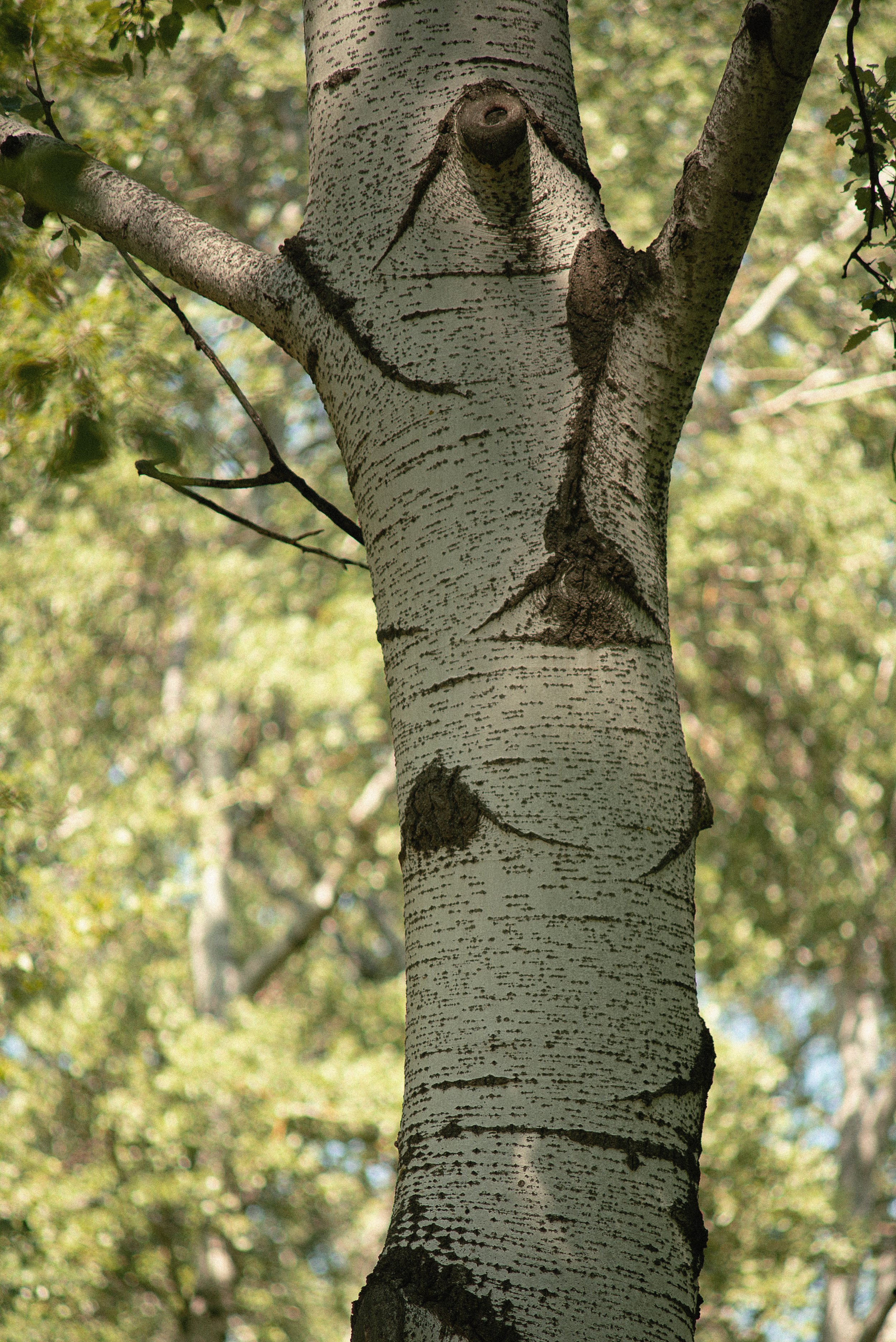 DSC_5091.jpg