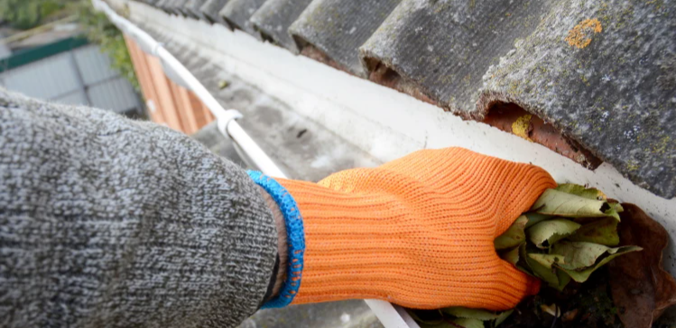 Person wearing an orange glove and gray sweater planting or tending to plants in a flower bed along a roof edge.