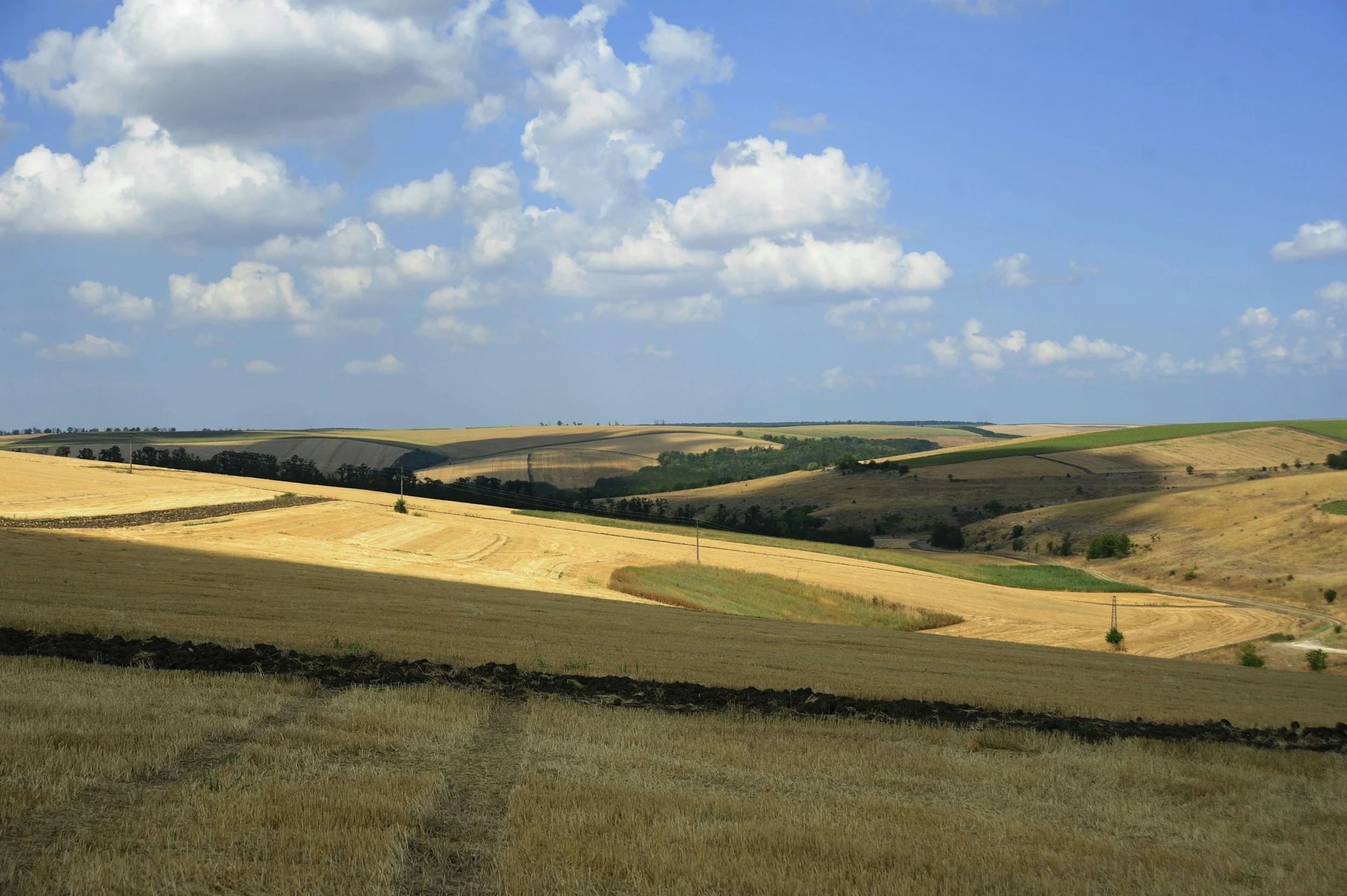 A scenic view of rolling farmland with fields of golden crops, green patches, and a few scattered trees under a blue sky with fluffy white clouds.