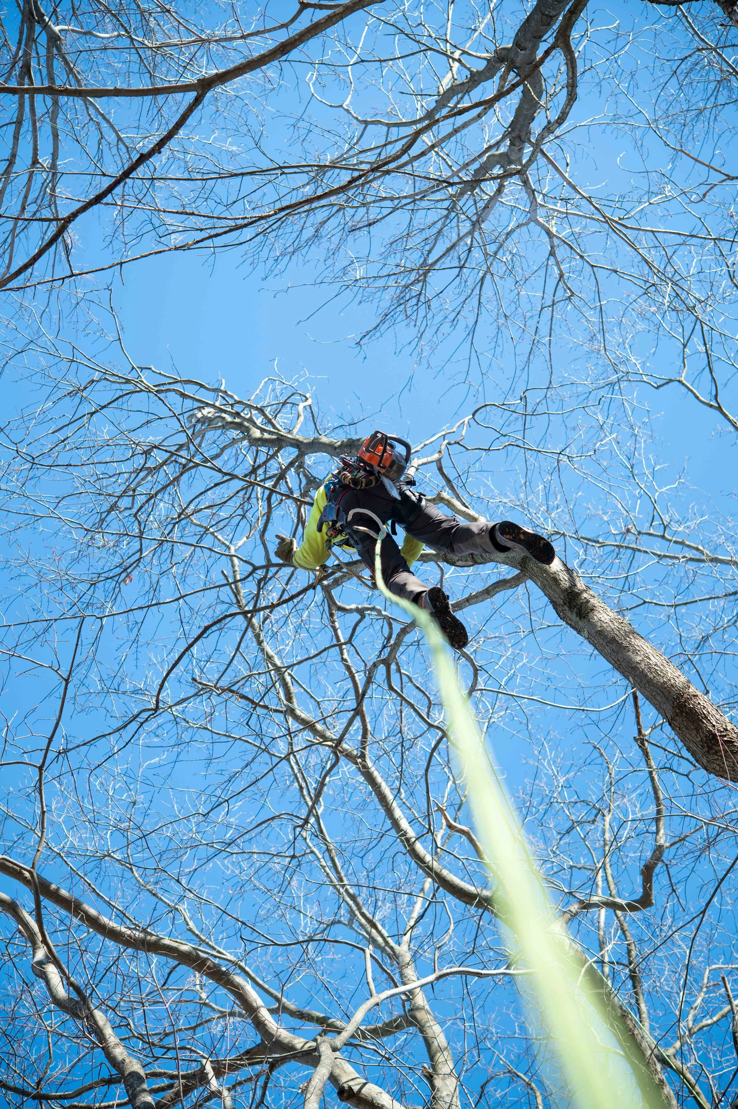 02.08.24 - 47 - Climbing - Climber - Mike Hebert.jpg
