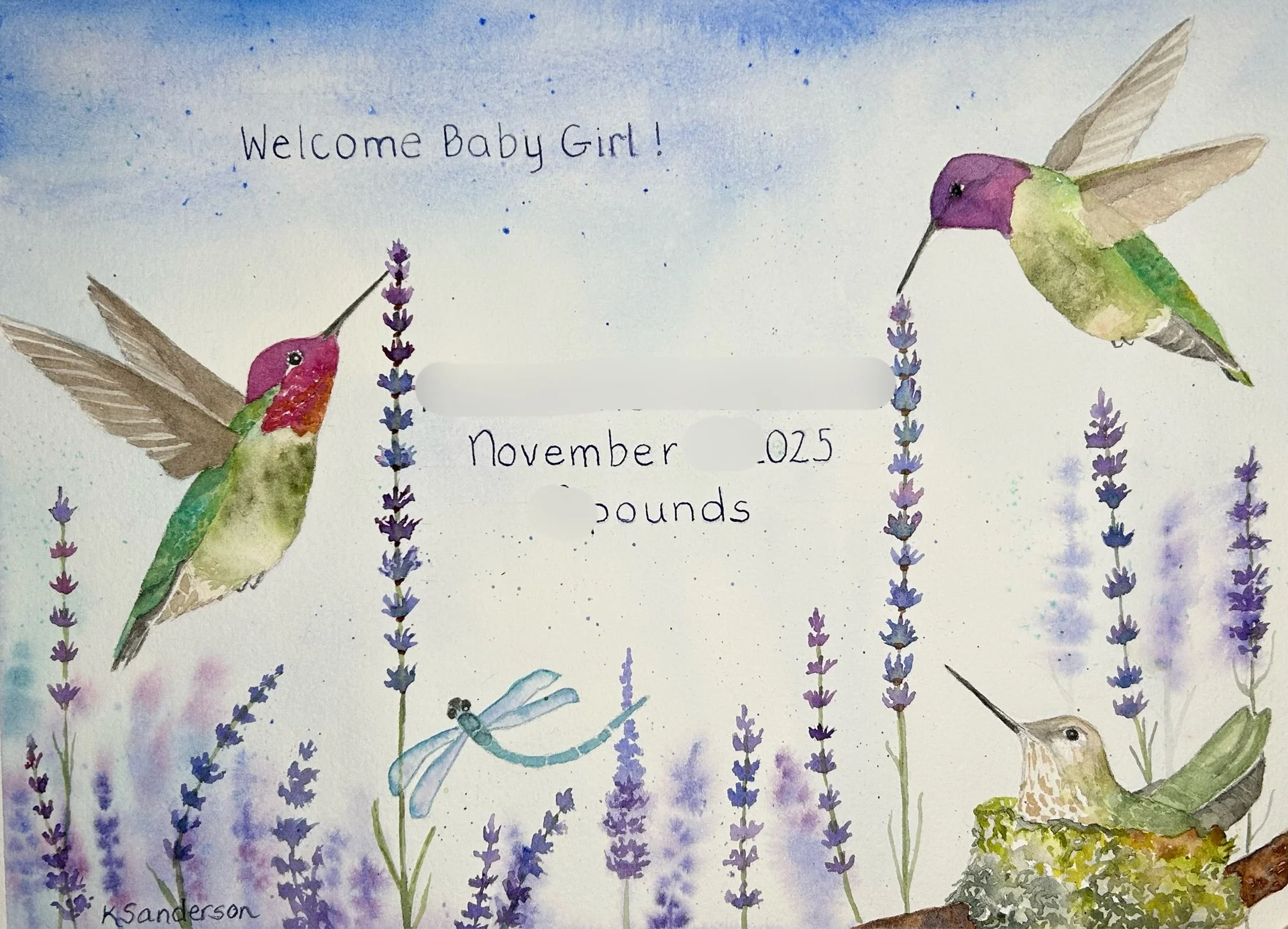 Anna's Hummingbirds (sold)