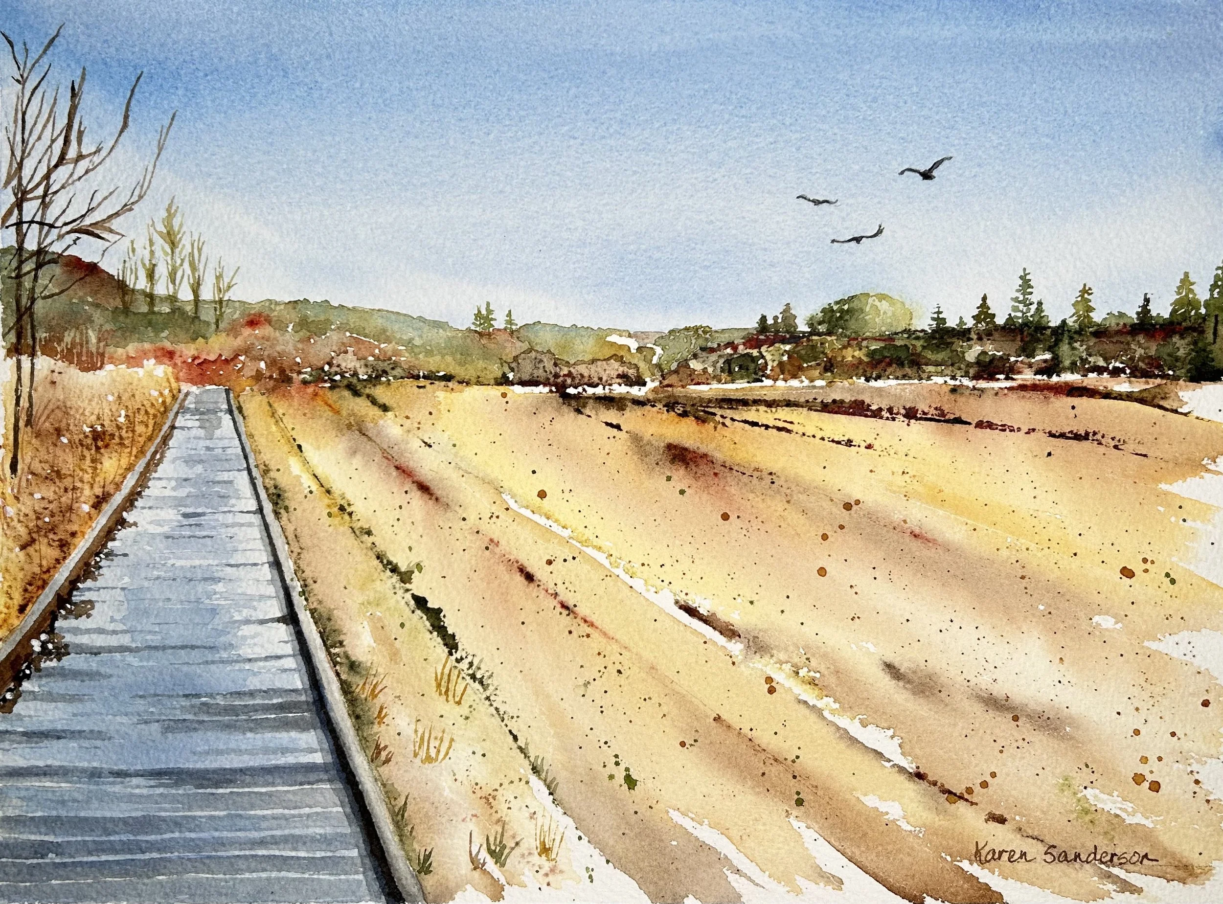 Nature Trail Corvallis 2024