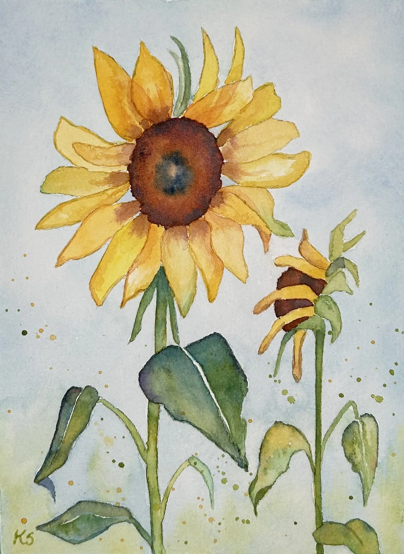 Sunny Flower 2026