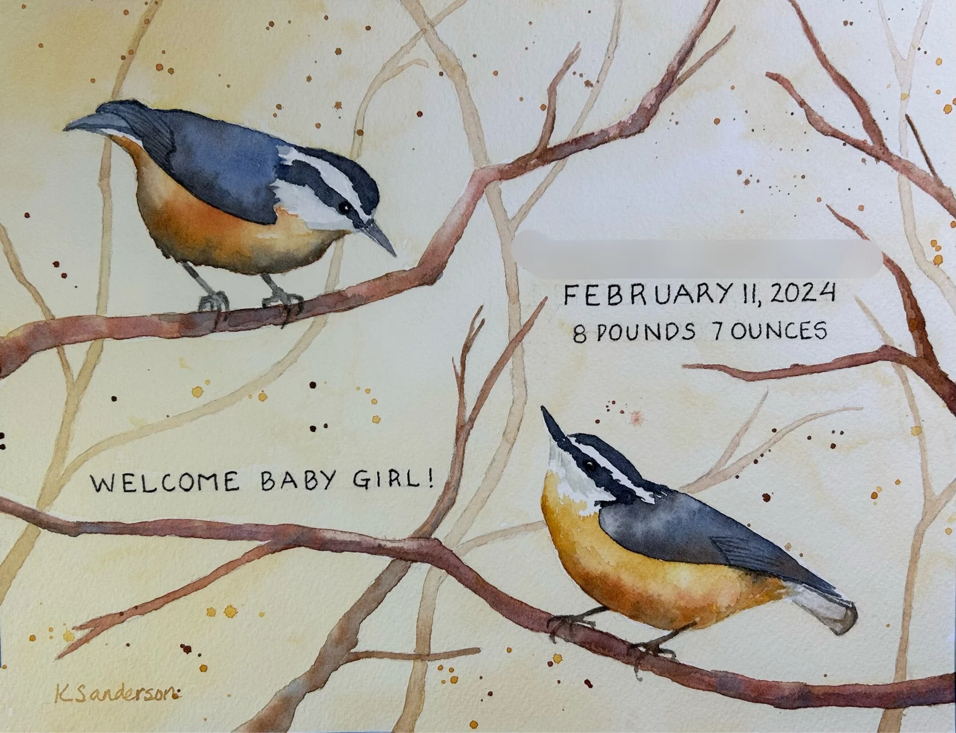 Red-breasted Nuthatch (sold)