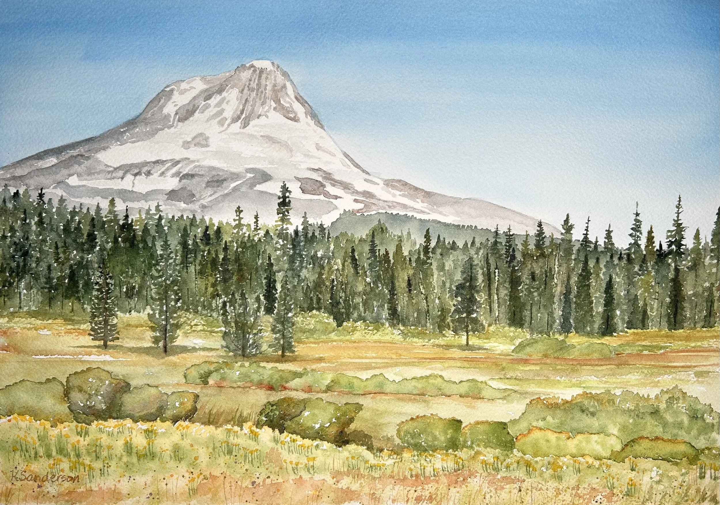 Elk Meadows/ Mt. Hood #2 2024