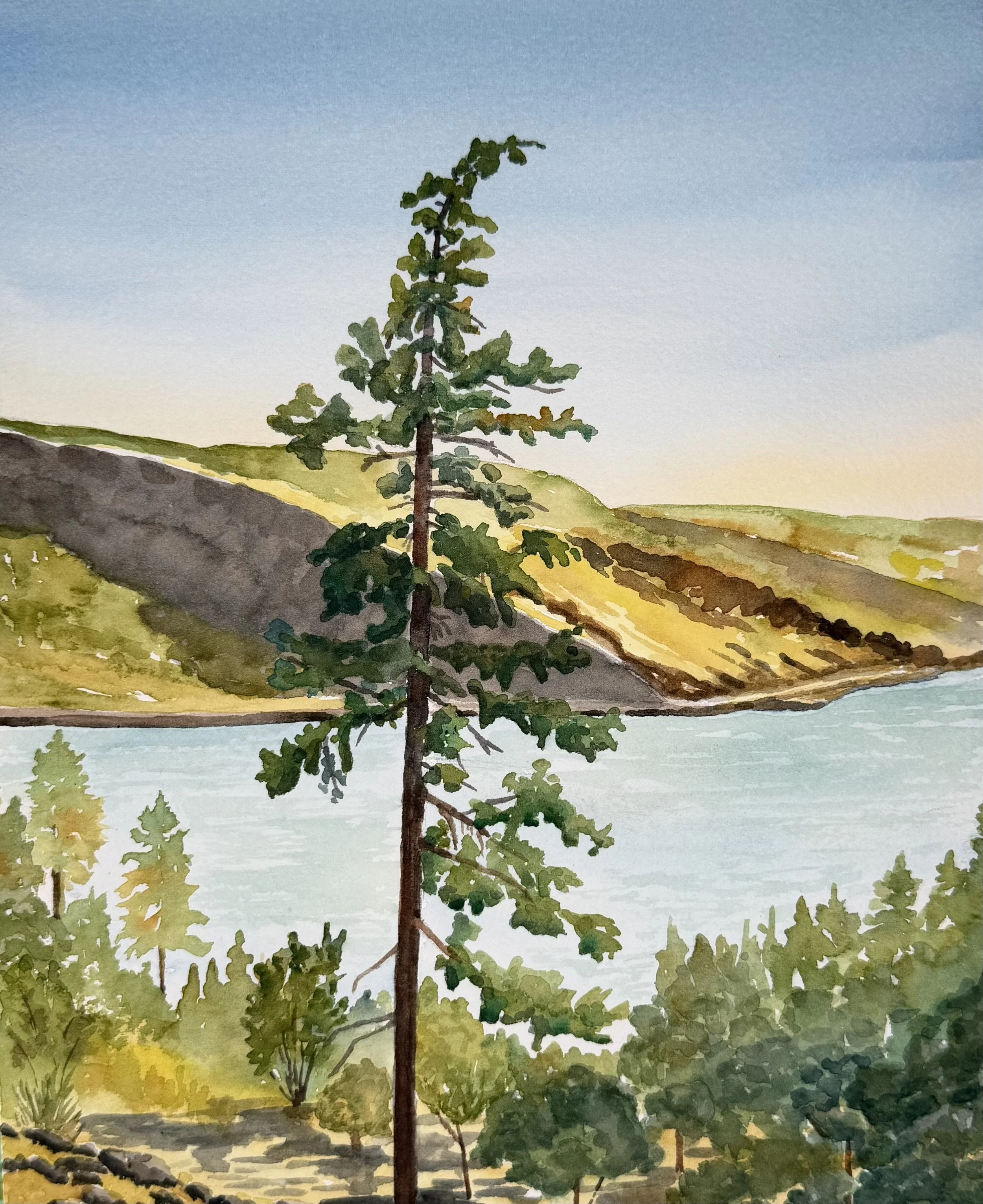 Twin Tunnels View 2026